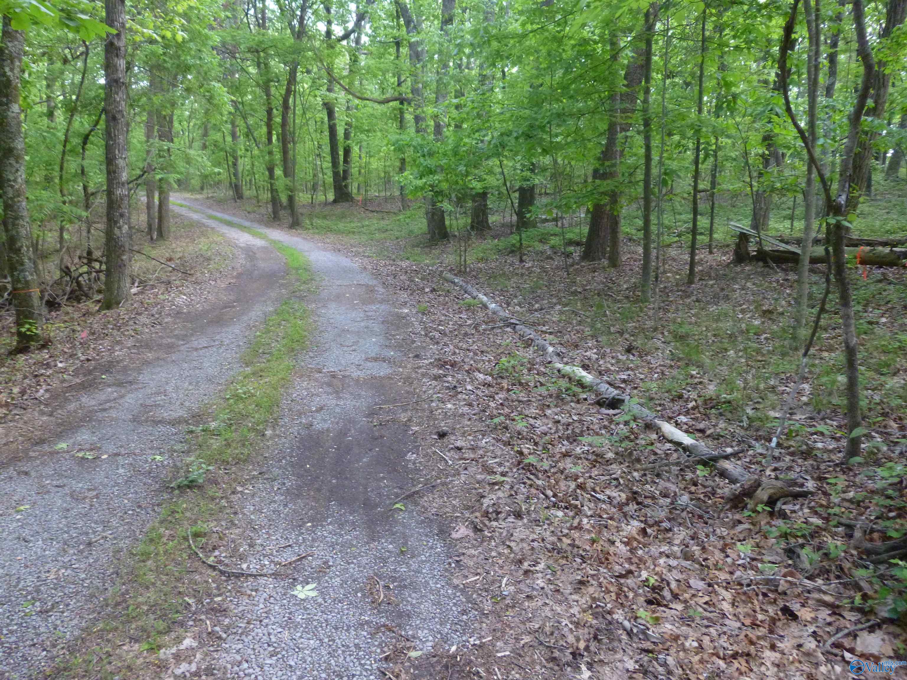 3735 (lot 11) County Road 166 (citadel Rock Road), Fort Payne, Alabama image 11