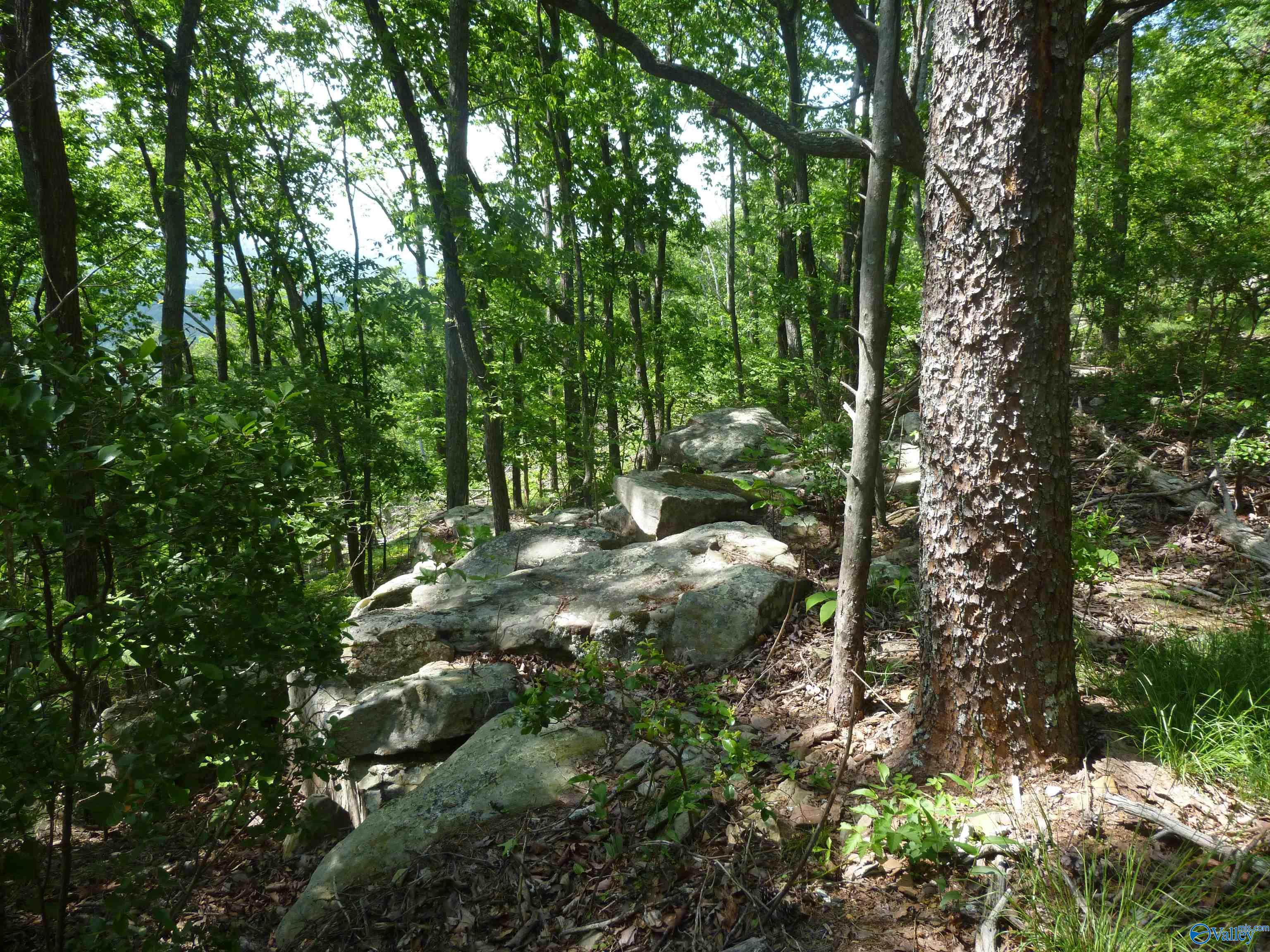 3735 (lot 11) County Road 166 (citadel Rock Road), Fort Payne, Alabama image 8