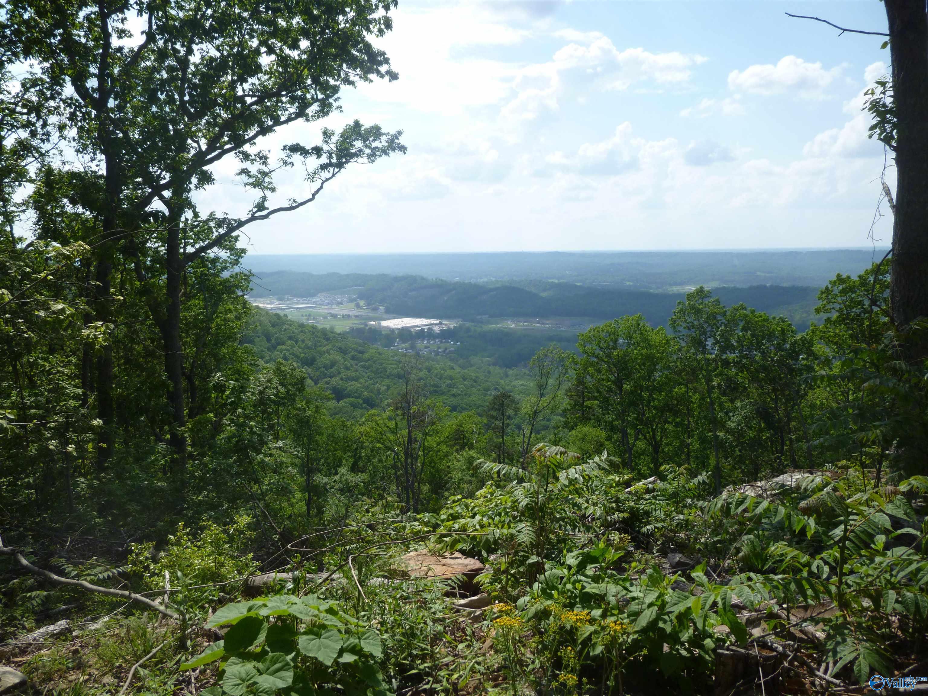 3735 (lot 11) County Road 166 (citadel Rock Road), Fort Payne, Alabama image 5