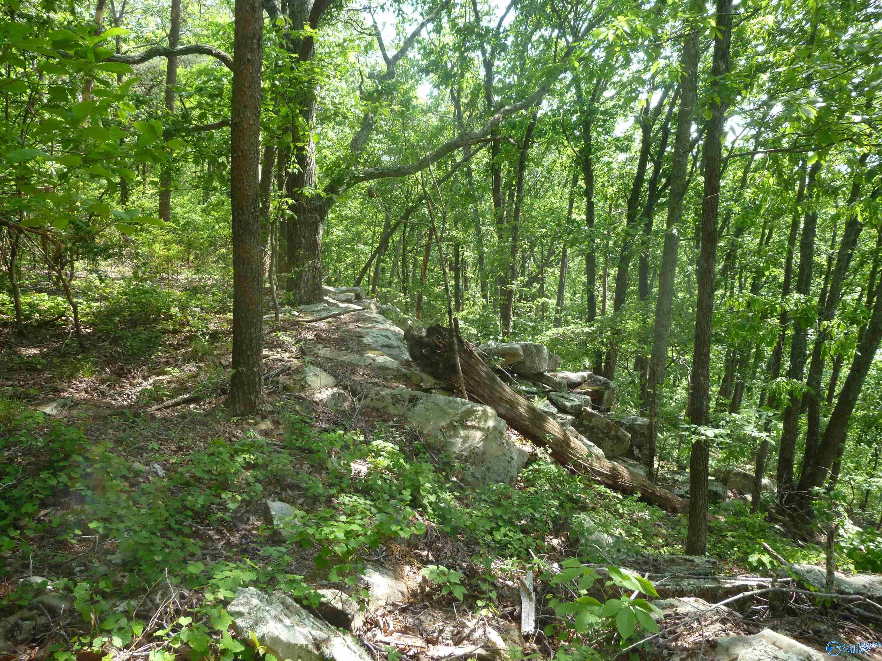 3735 (lot 11) County Road 166 (citadel Rock Road), Fort Payne, Alabama image 3