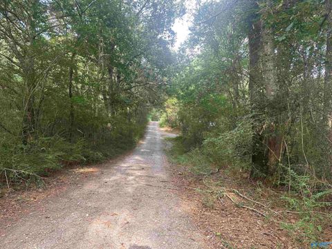 Vacant Land For Sale - X Winding Brook Lane<br/> Guntersville, AL 35976