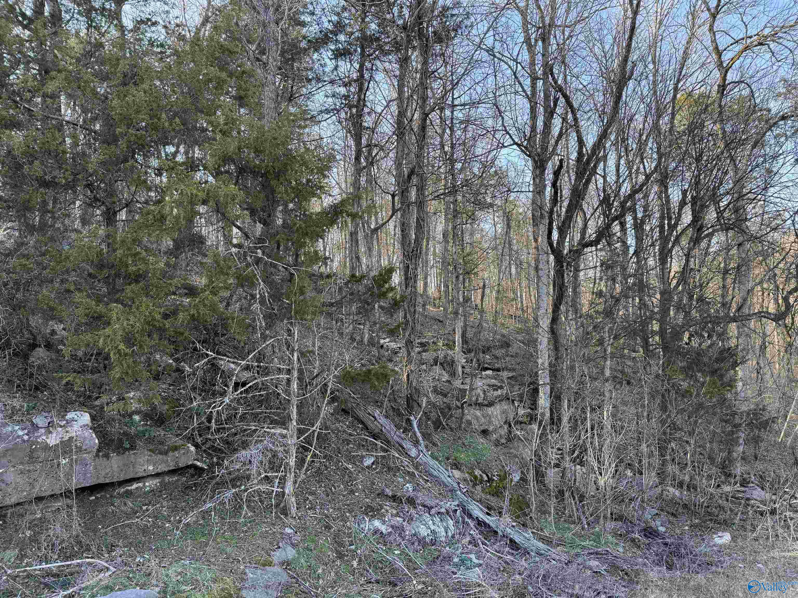 15.66 Acres Cathedral Caverns Hwy, Grant, Alabama image 5