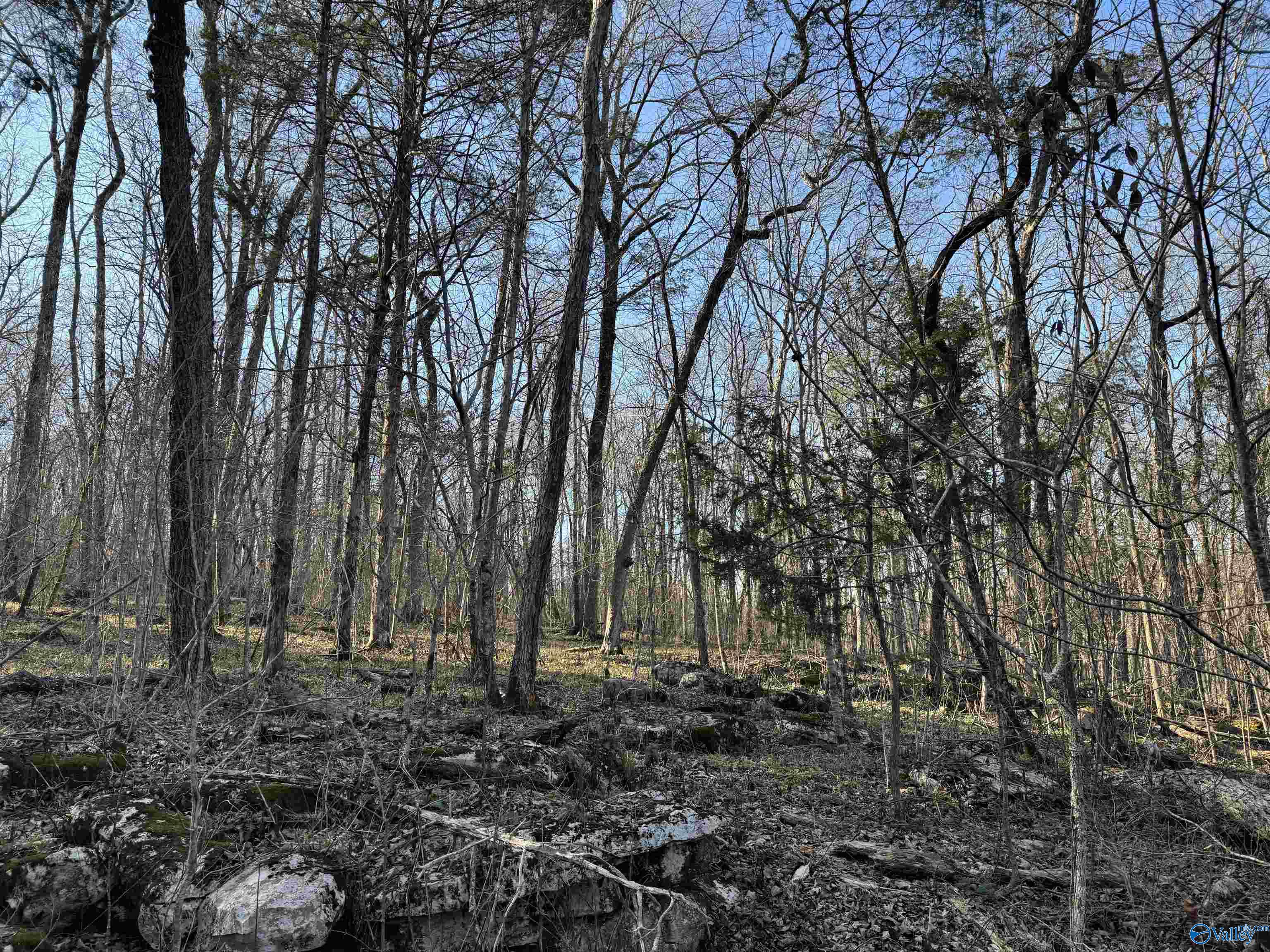 15.66 Acres Cathedral Caverns Hwy, Grant, Alabama image 7