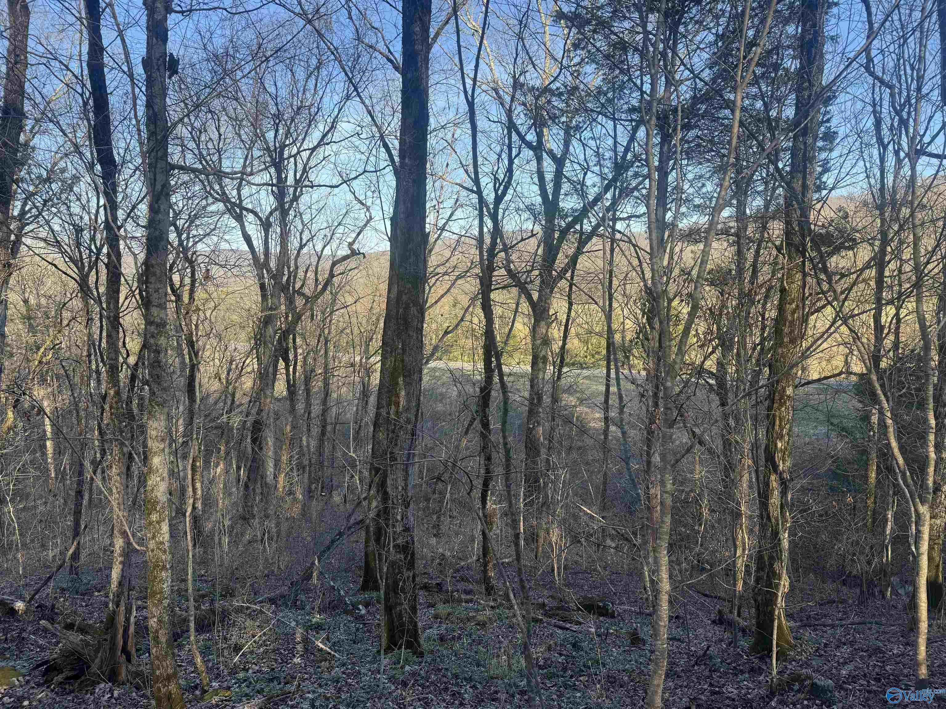 15.66 Acres Cathedral Caverns Hwy, Grant, Alabama image 21