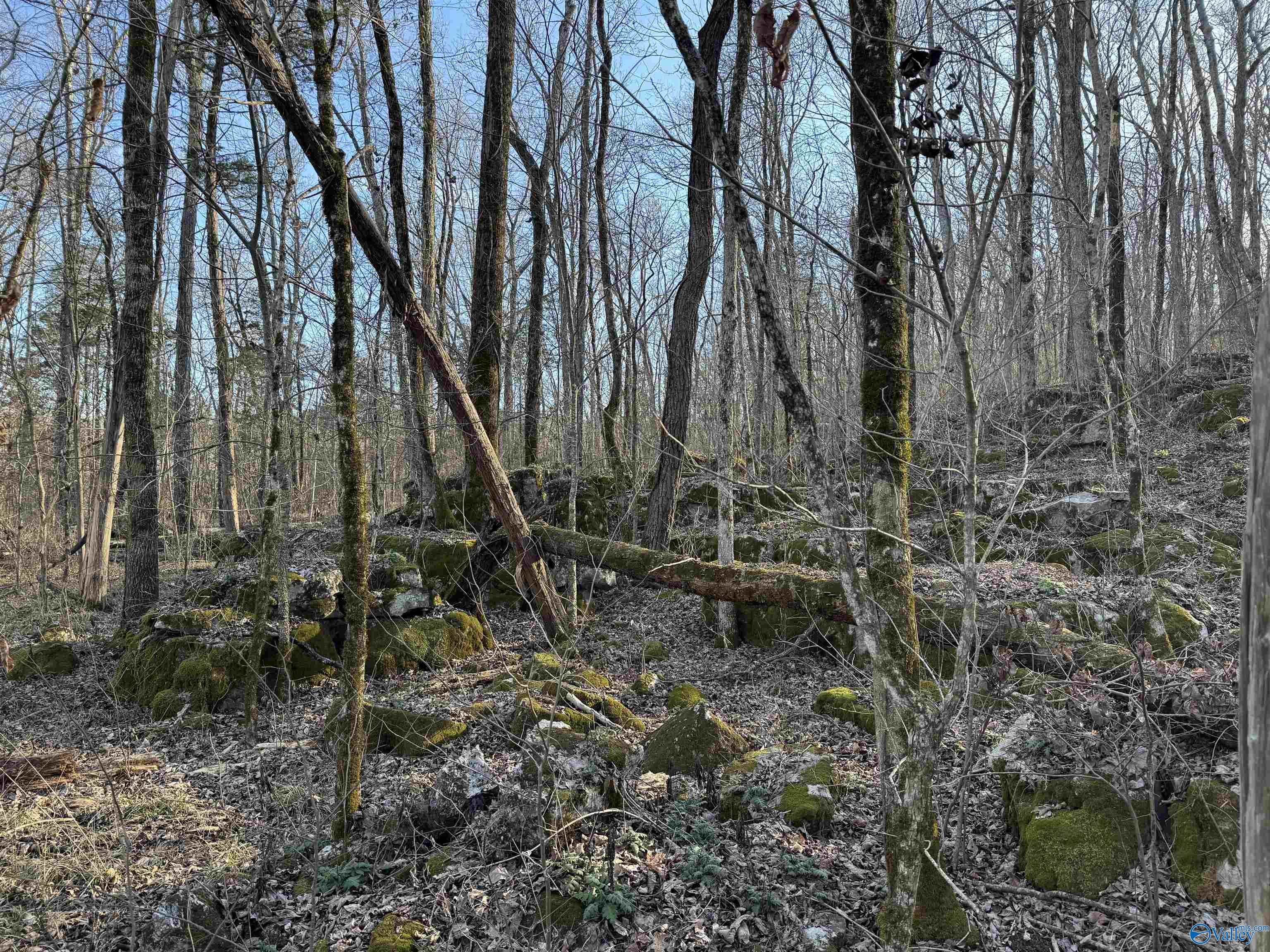 15.66 Acres Cathedral Caverns Hwy, Grant, Alabama image 16