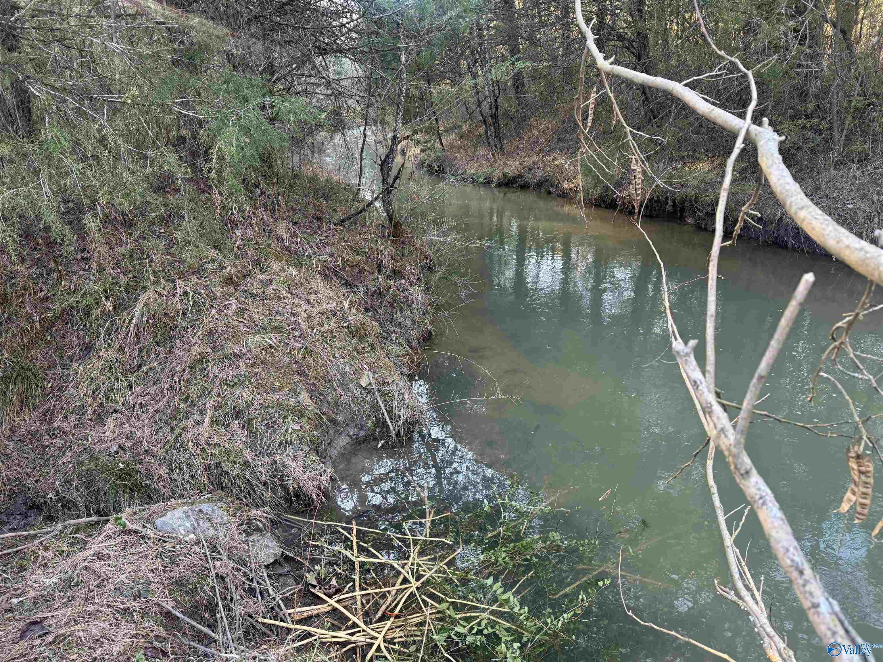 15.66 Acres Cathedral Caverns Hwy, Grant, Alabama image 1