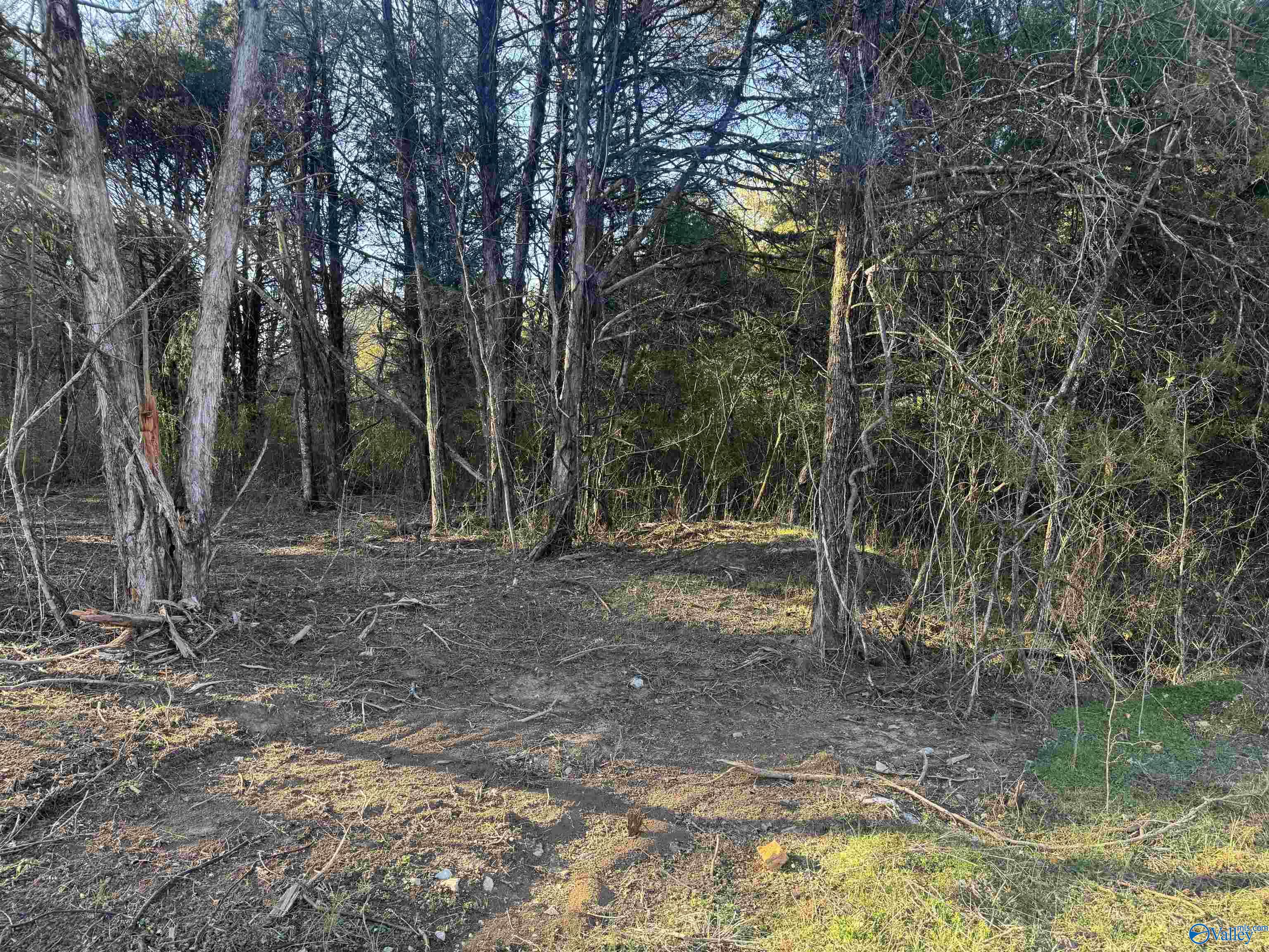 15.66 Acres Cathedral Caverns Hwy, Grant, Alabama image 22