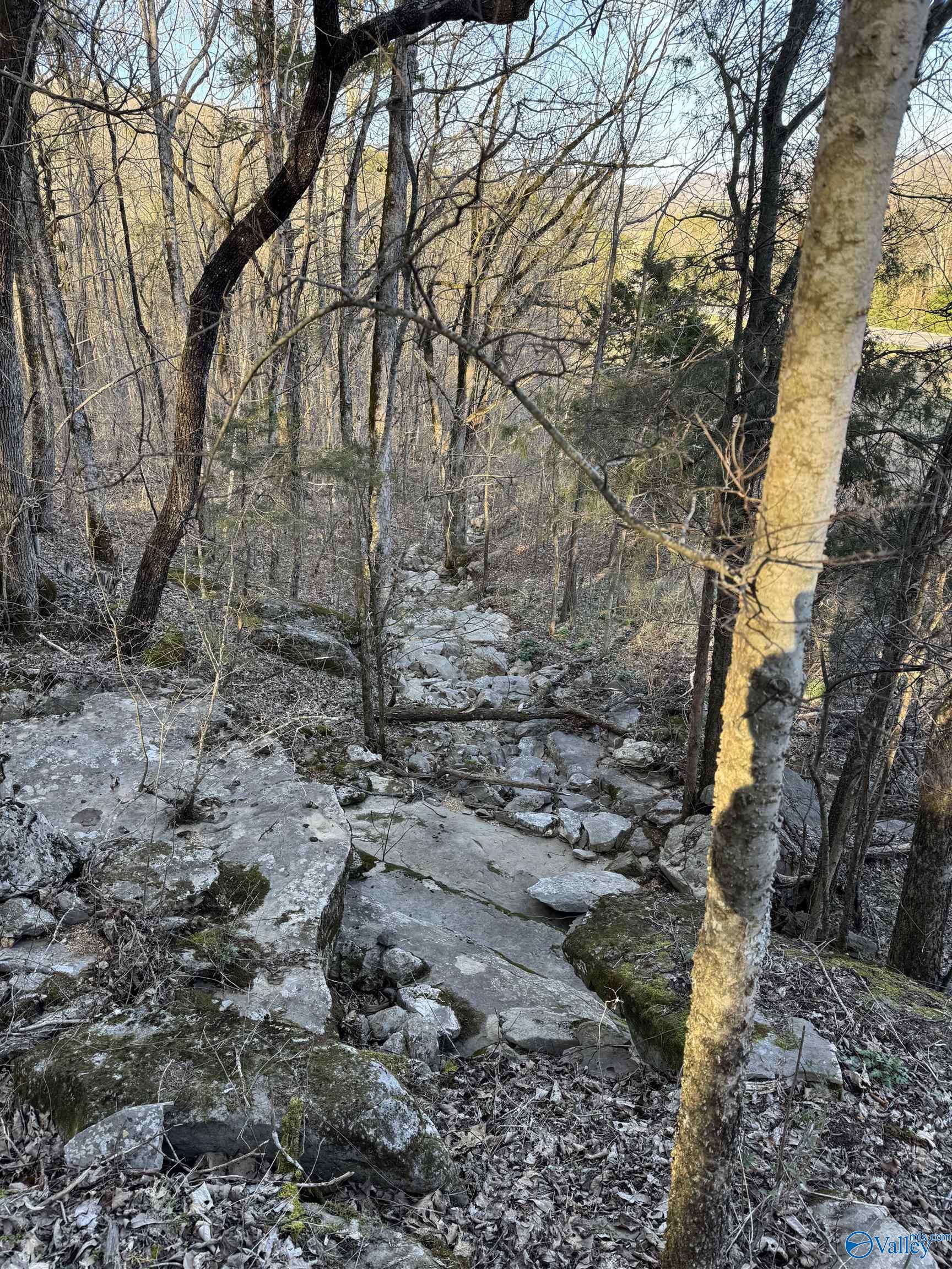 15.66 Acres Cathedral Caverns Hwy, Grant, Alabama image 6