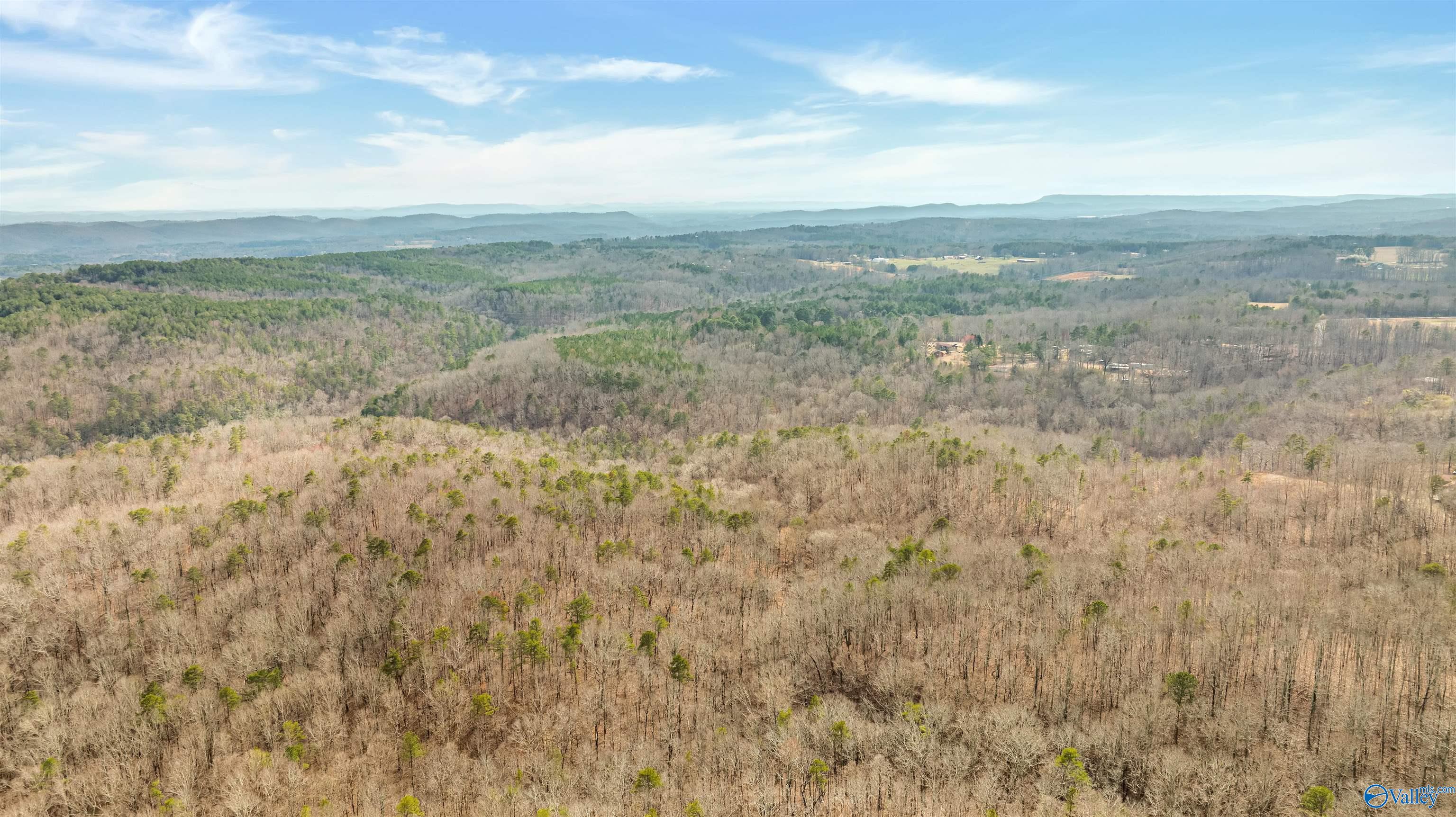 254 Acres Mountain View Drive, Attalla, Alabama image 3