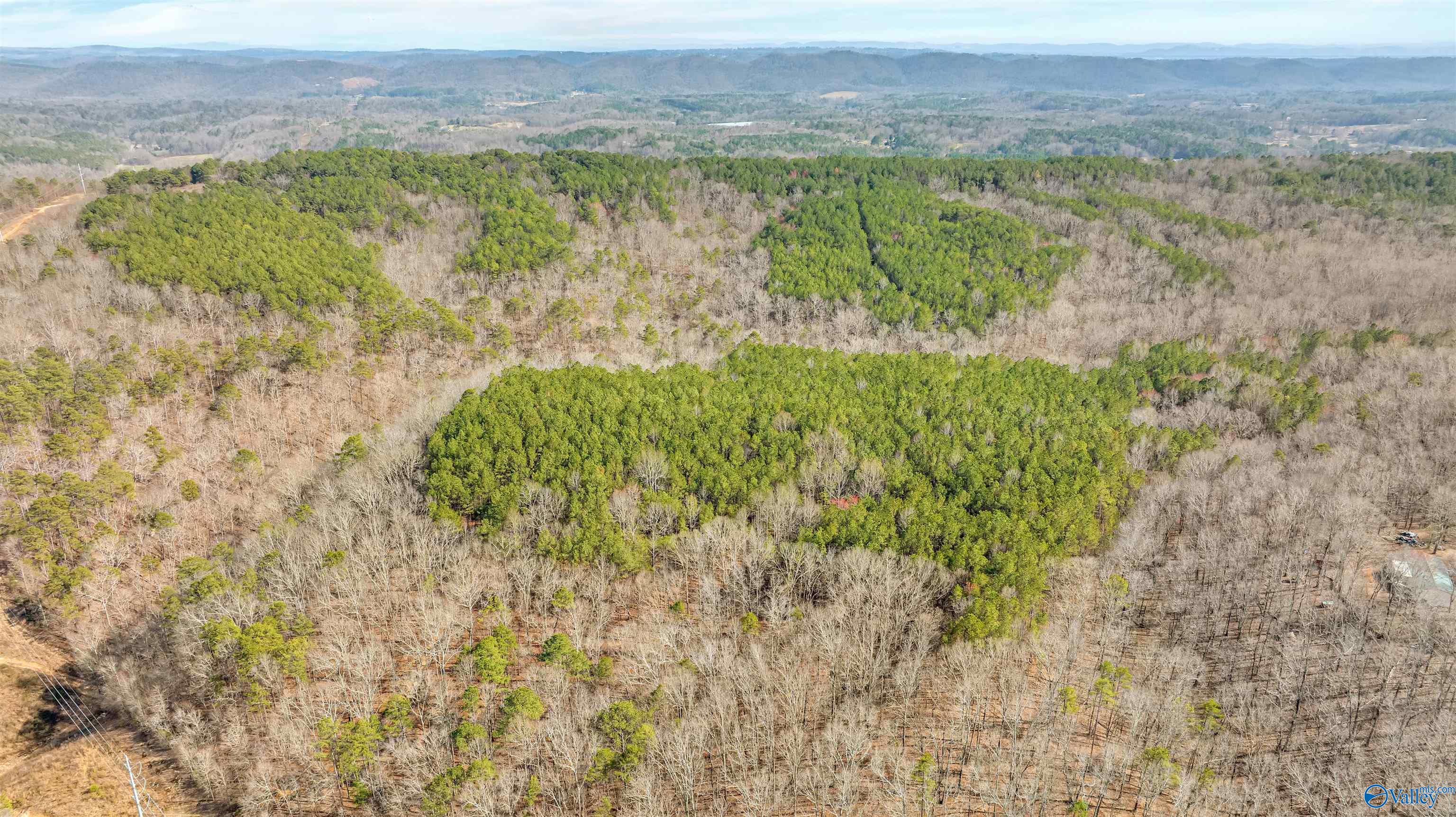 254 Acres Mountain View Drive, Attalla, Alabama image 8