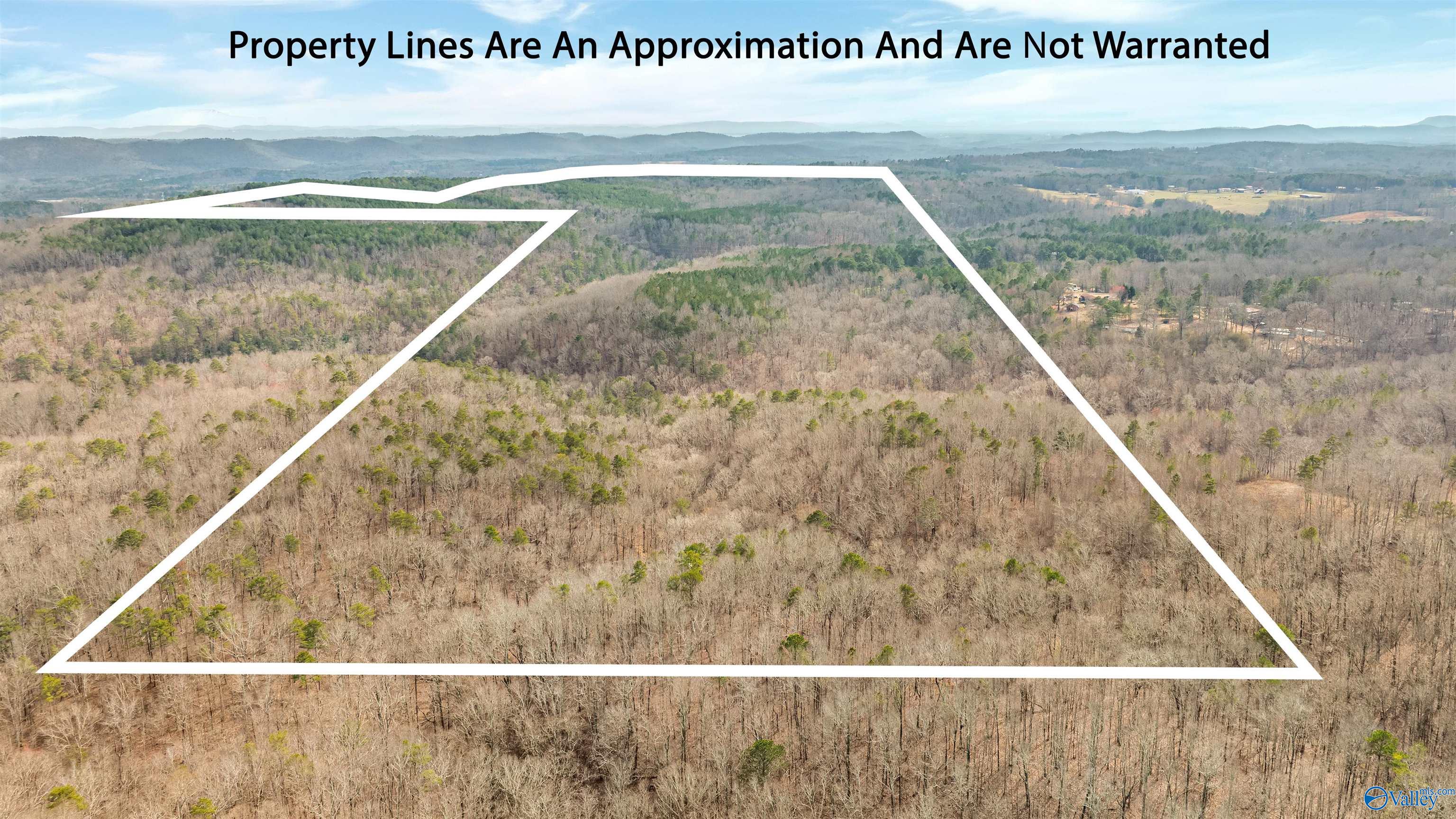 254 Acres Mountain View Drive, Attalla, Alabama image 1