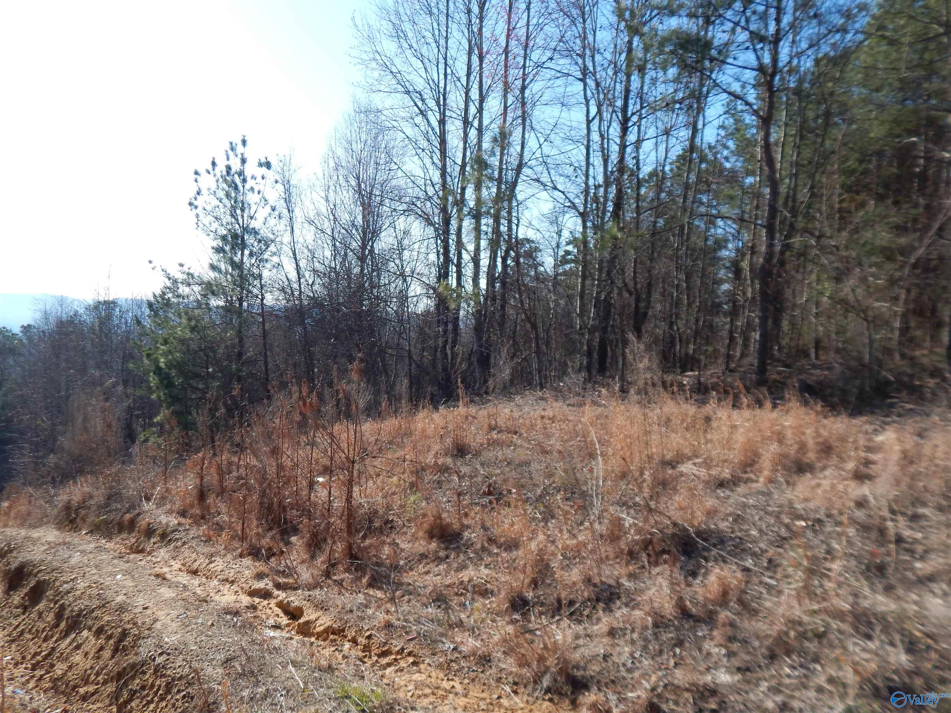 254 Acres Mountain View Drive, Attalla, Alabama image 20