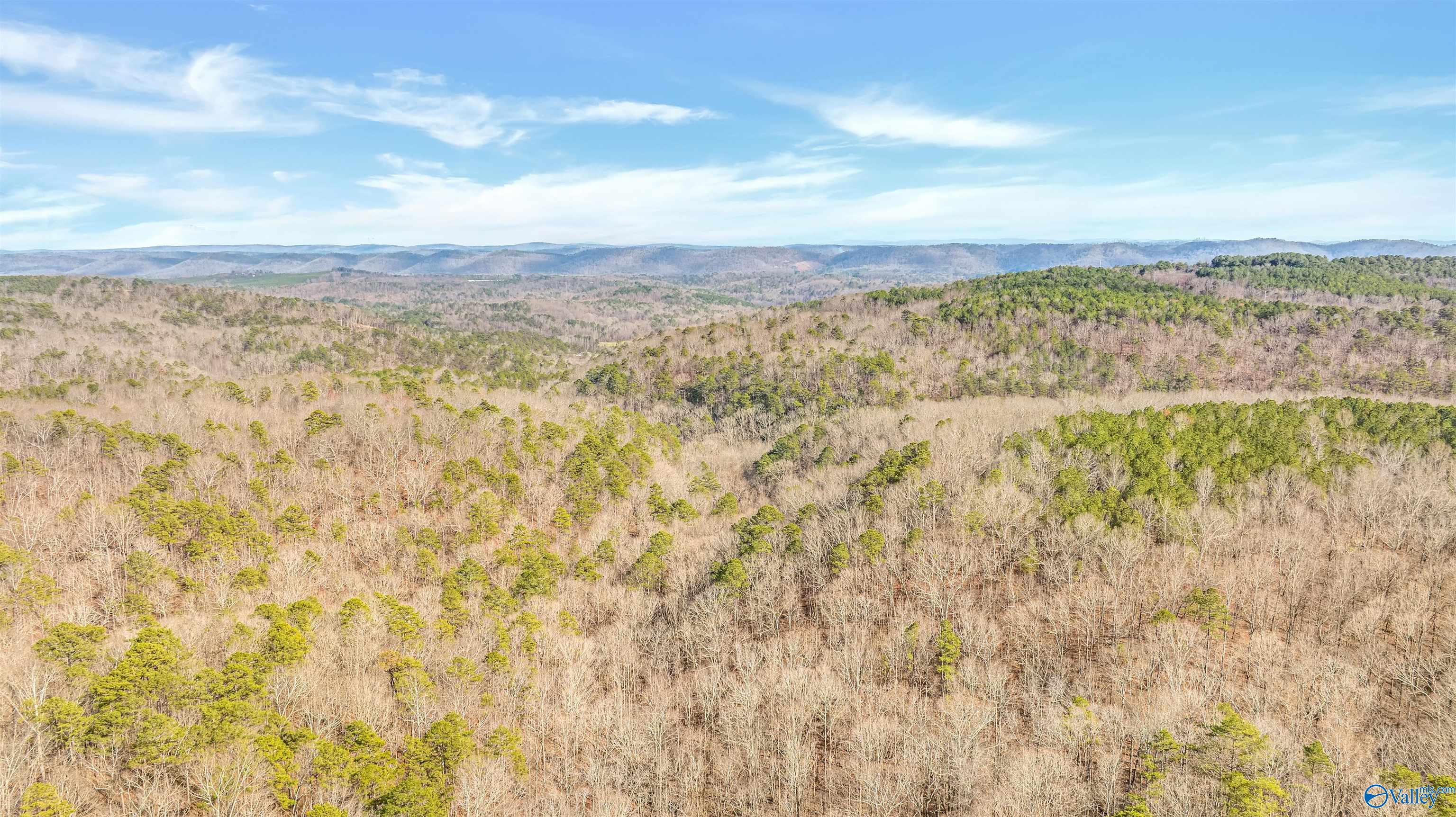 254 Acres Mountain View Drive, Attalla, Alabama image 17