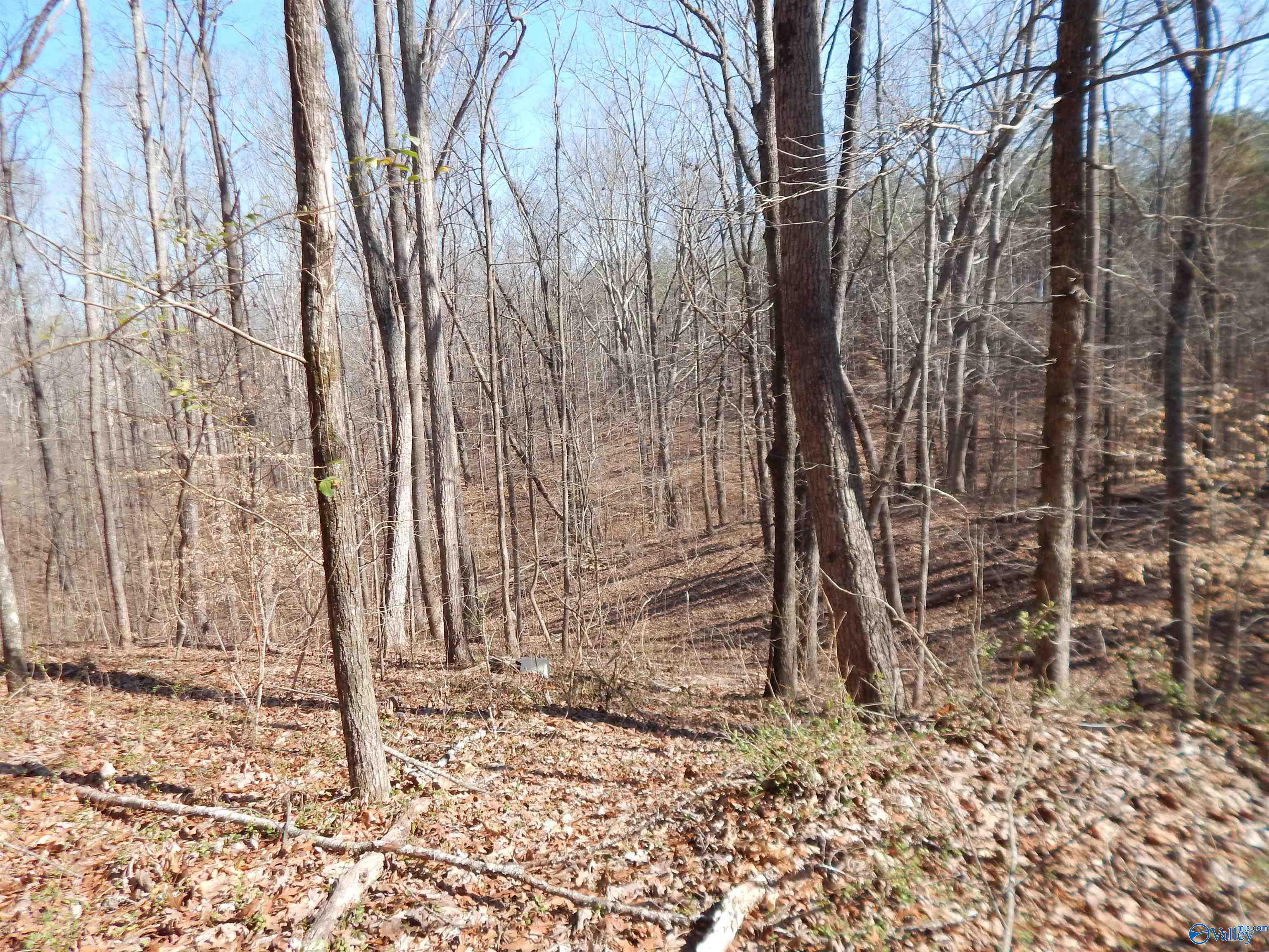 254 Acres Mountain View Drive, Attalla, Alabama image 48
