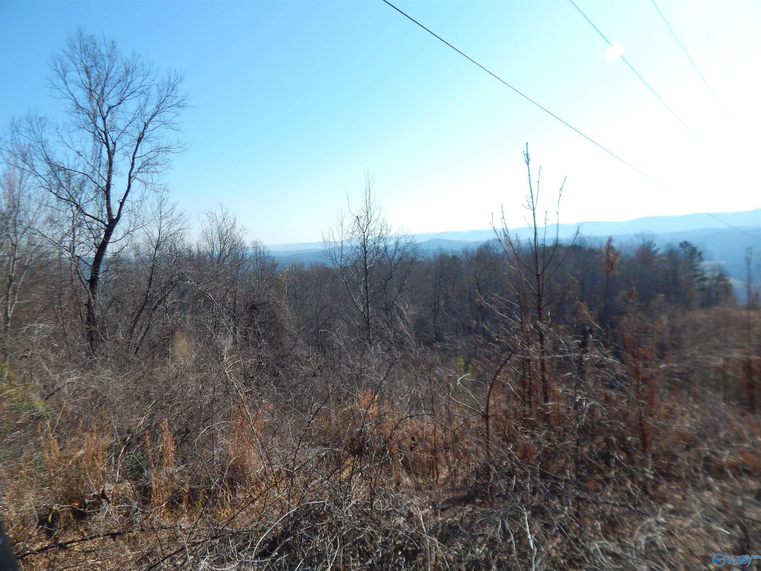 254 Acres Mountain View Drive, Attalla, Alabama image 21