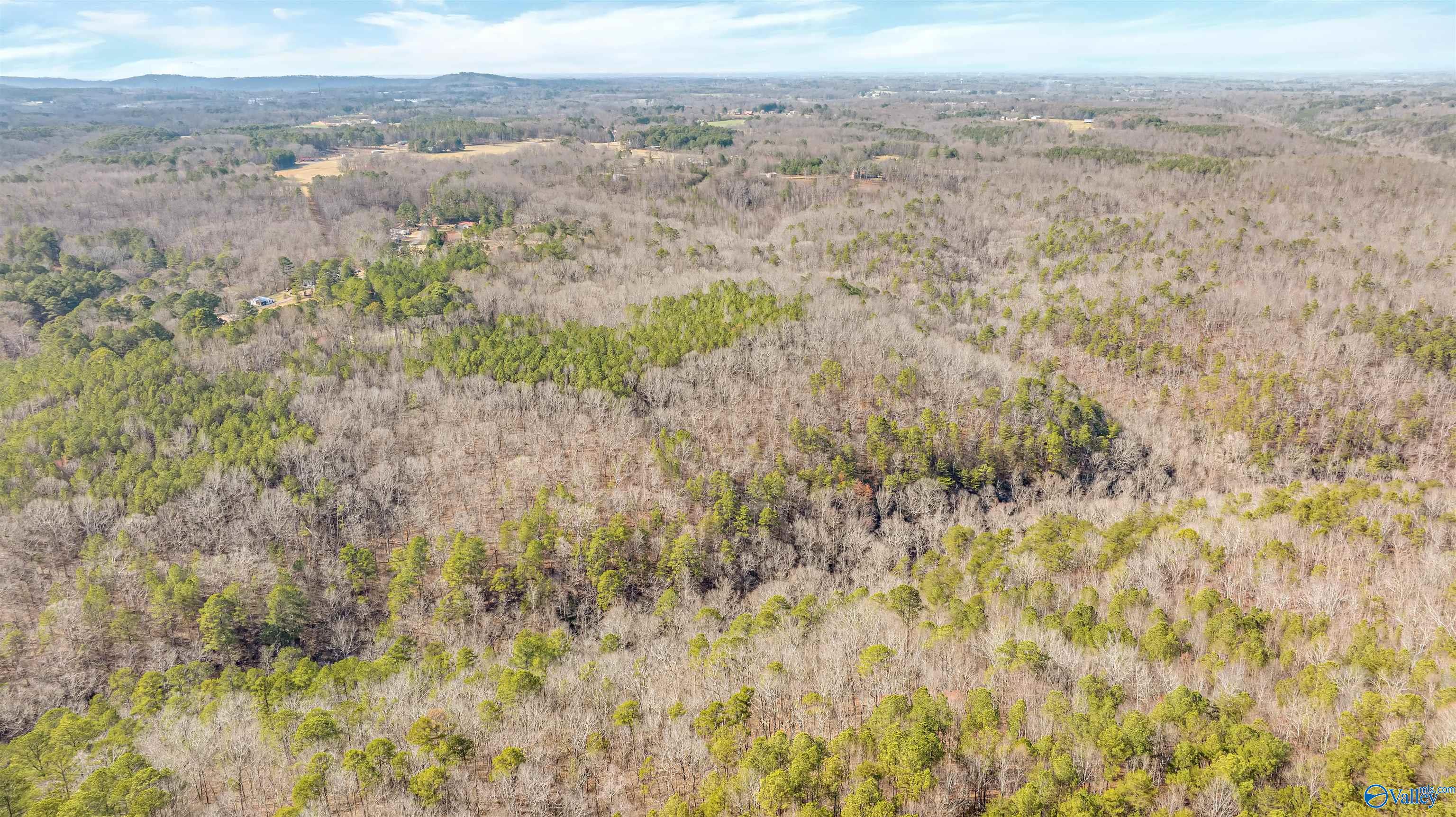 254 Acres Mountain View Drive, Attalla, Alabama image 14