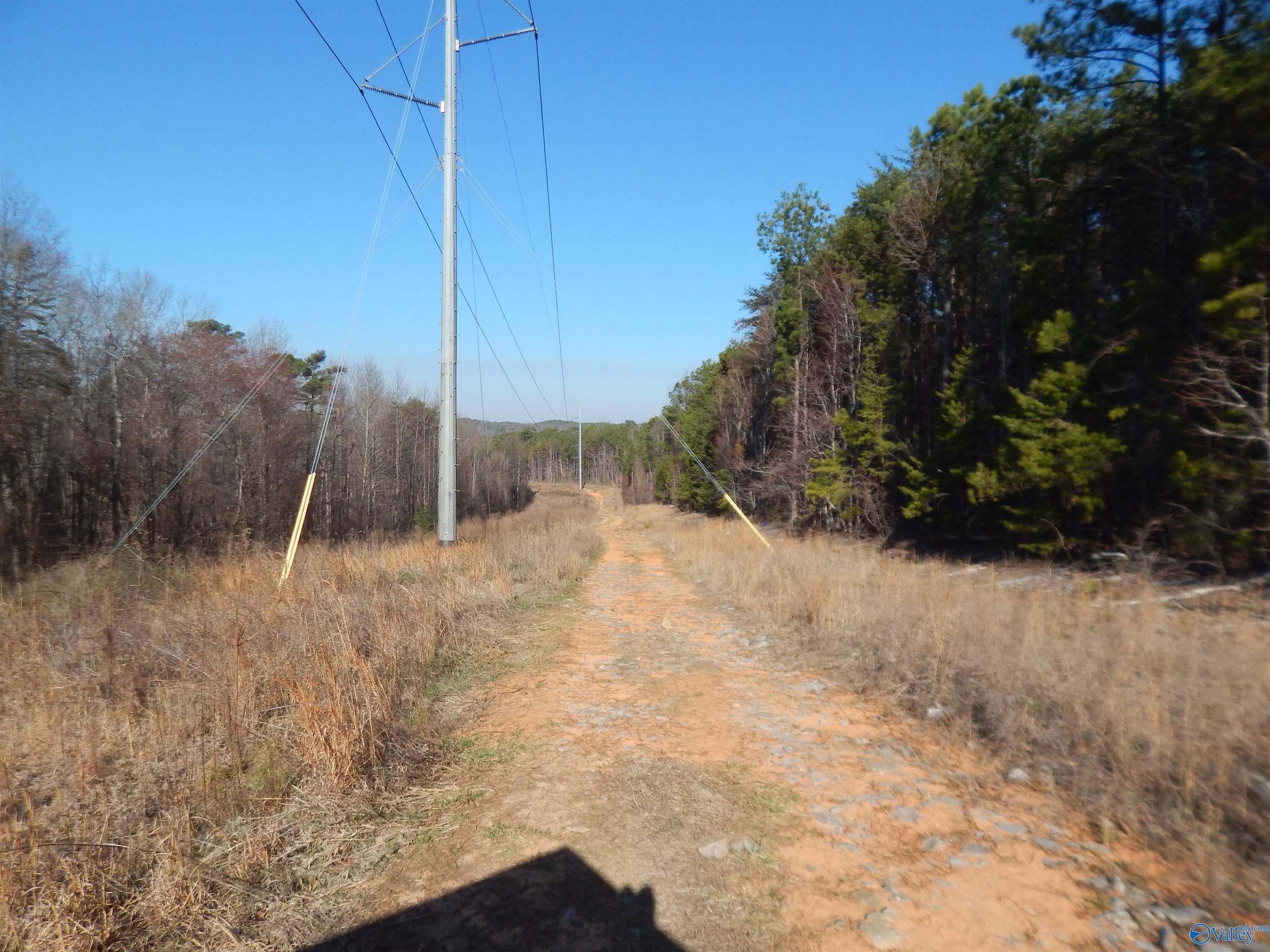 254 Acres Mountain View Drive, Attalla, Alabama image 25