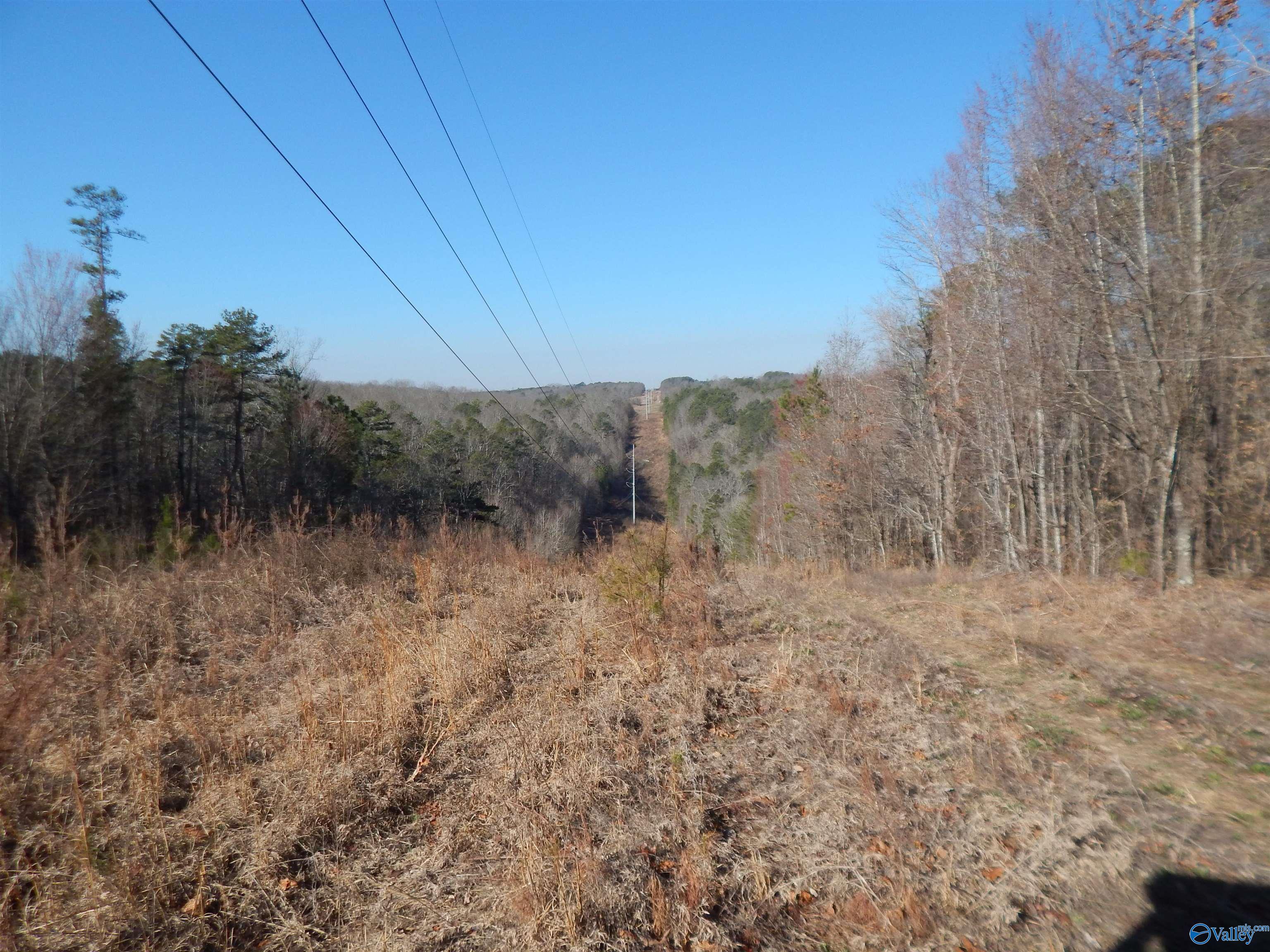 254 Acres Mountain View Drive, Attalla, Alabama image 26