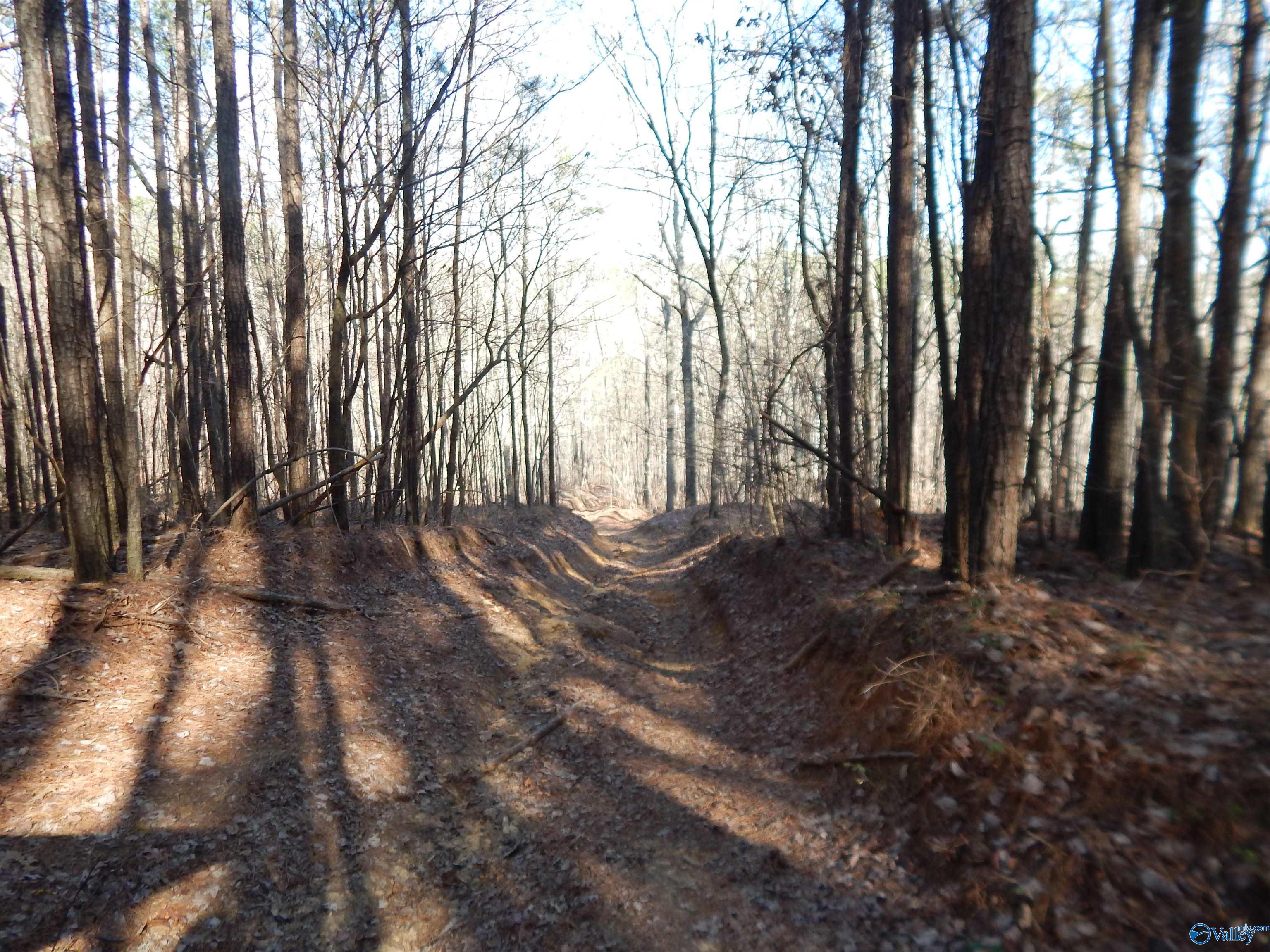 254 Acres Mountain View Drive, Attalla, Alabama image 46