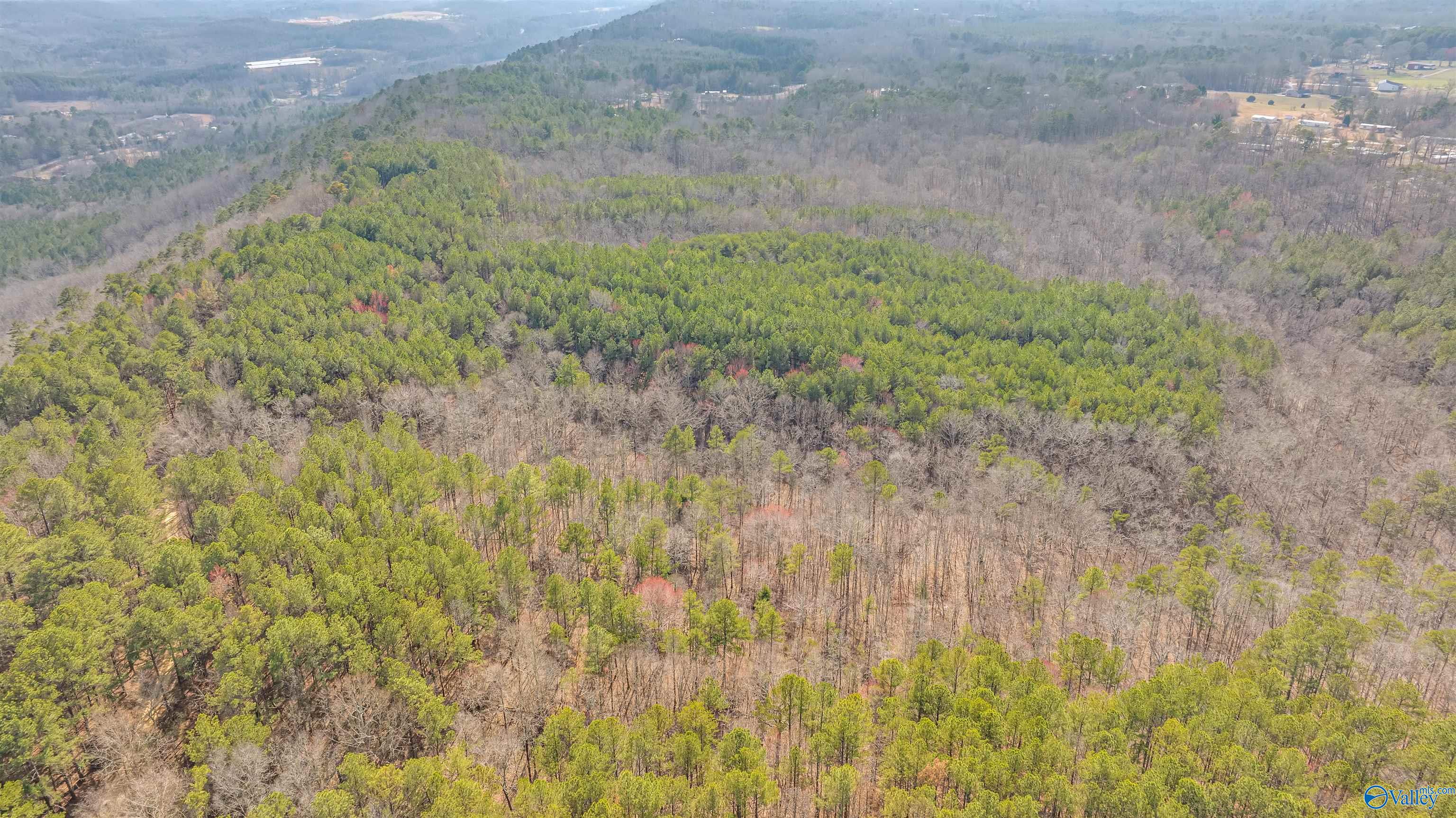 254 Acres Mountain View Drive, Attalla, Alabama image 12