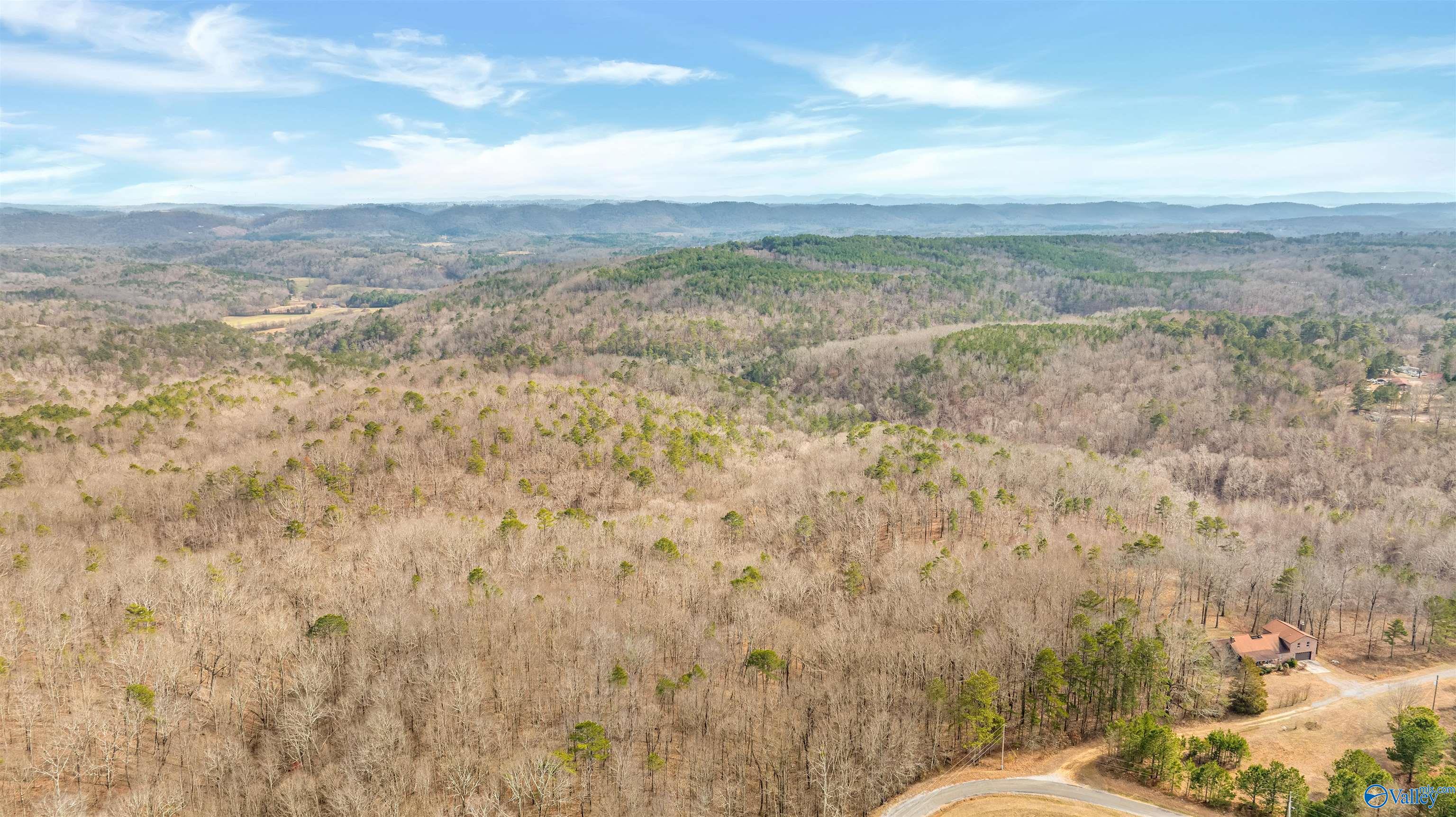 254 Acres Mountain View Drive, Attalla, Alabama image 5
