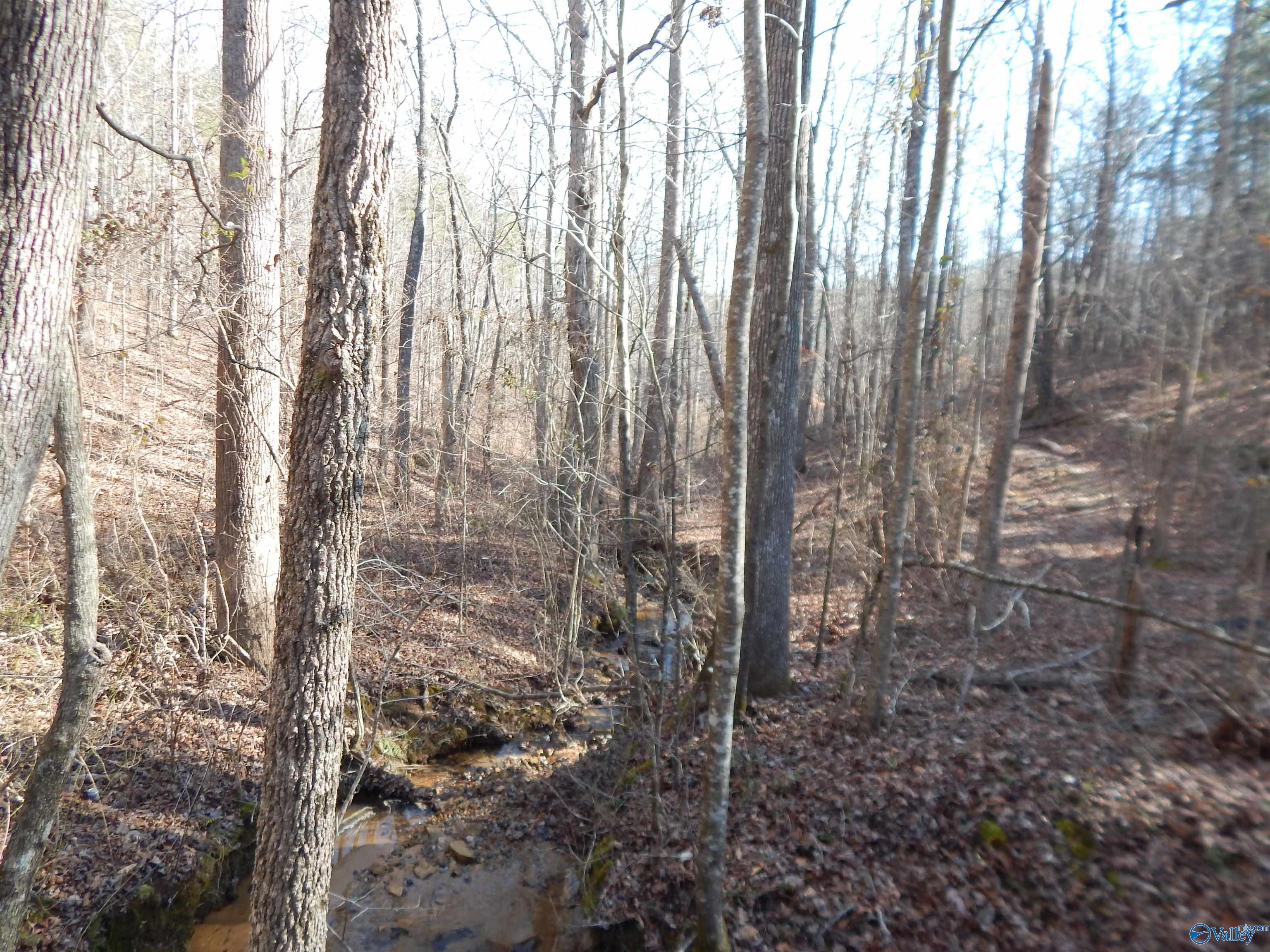 254 Acres Mountain View Drive, Attalla, Alabama image 45