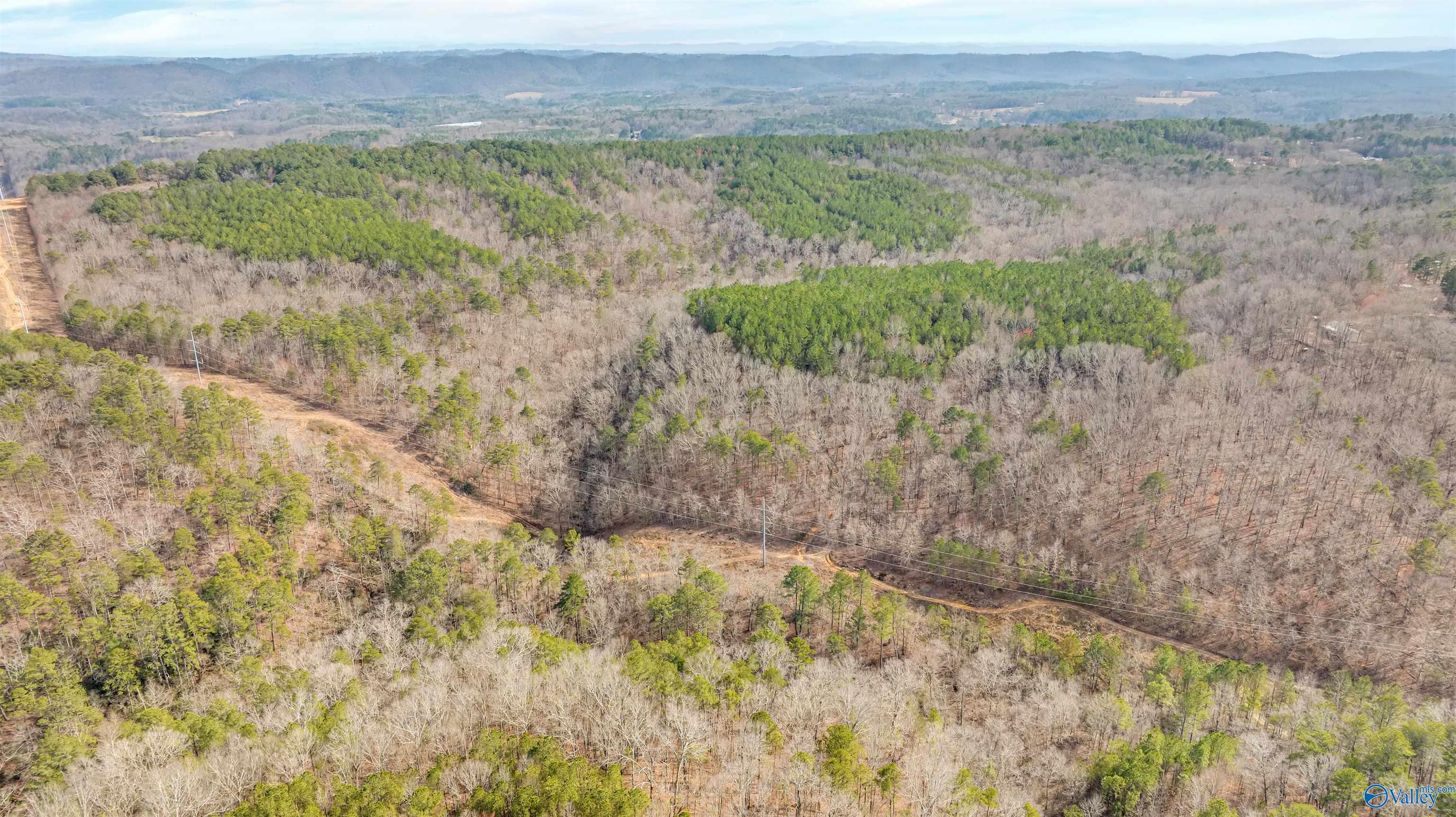 254 Acres Mountain View Drive, Attalla, Alabama image 7
