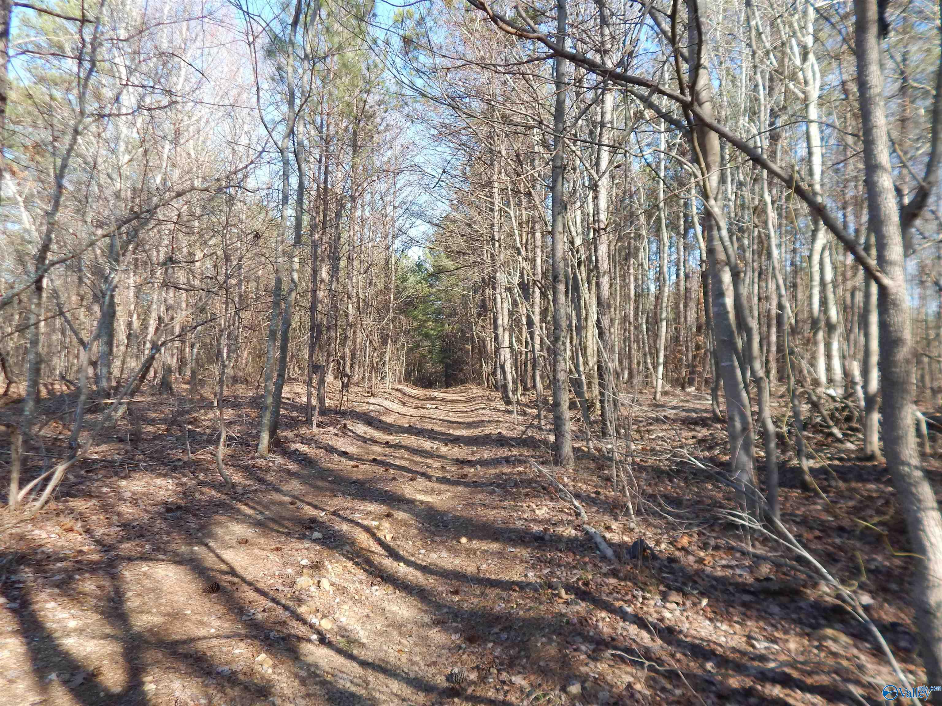 254 Acres Mountain View Drive, Attalla, Alabama image 24
