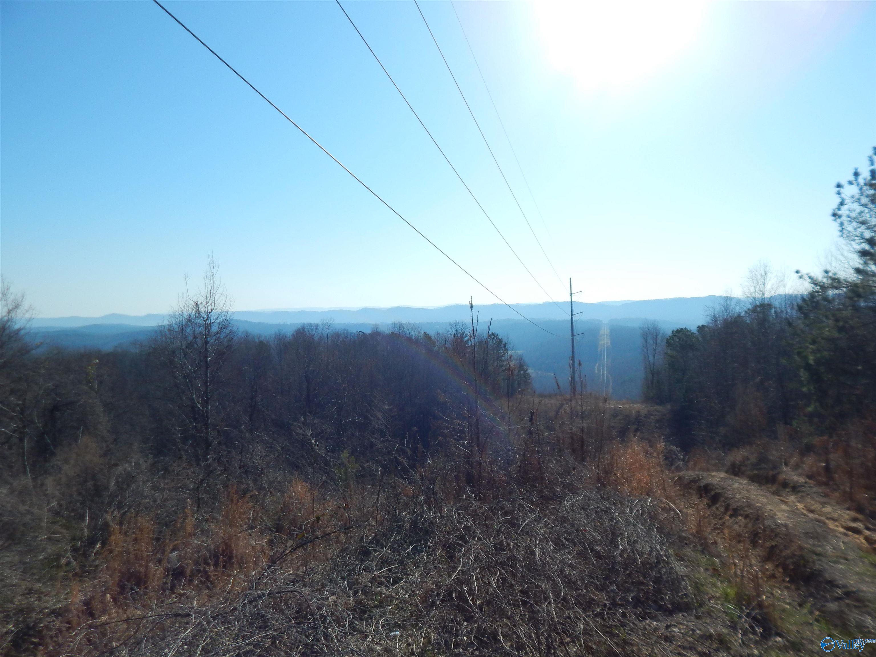 254 Acres Mountain View Drive, Attalla, Alabama image 23
