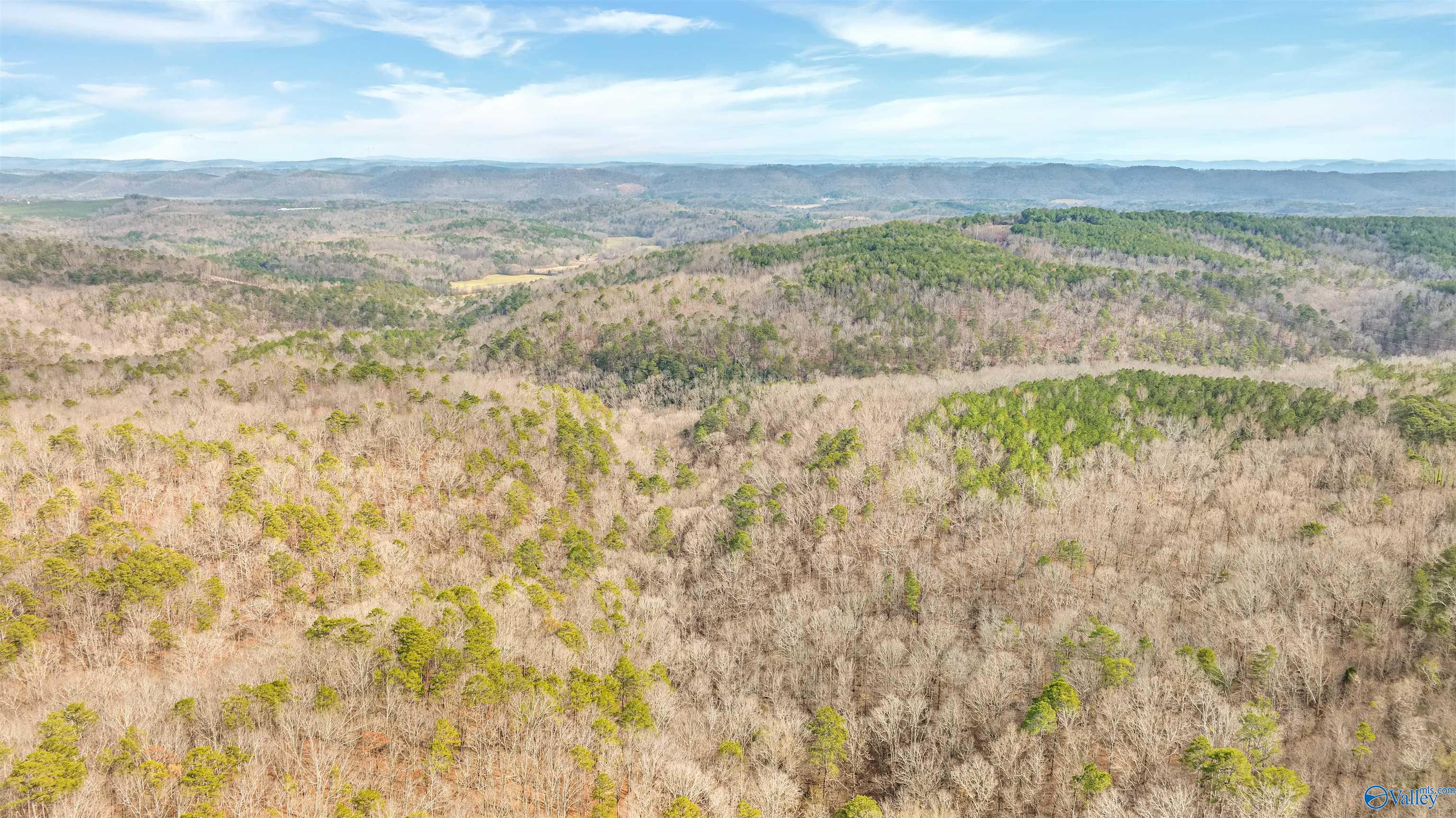 254 Acres Mountain View Drive, Attalla, Alabama image 6
