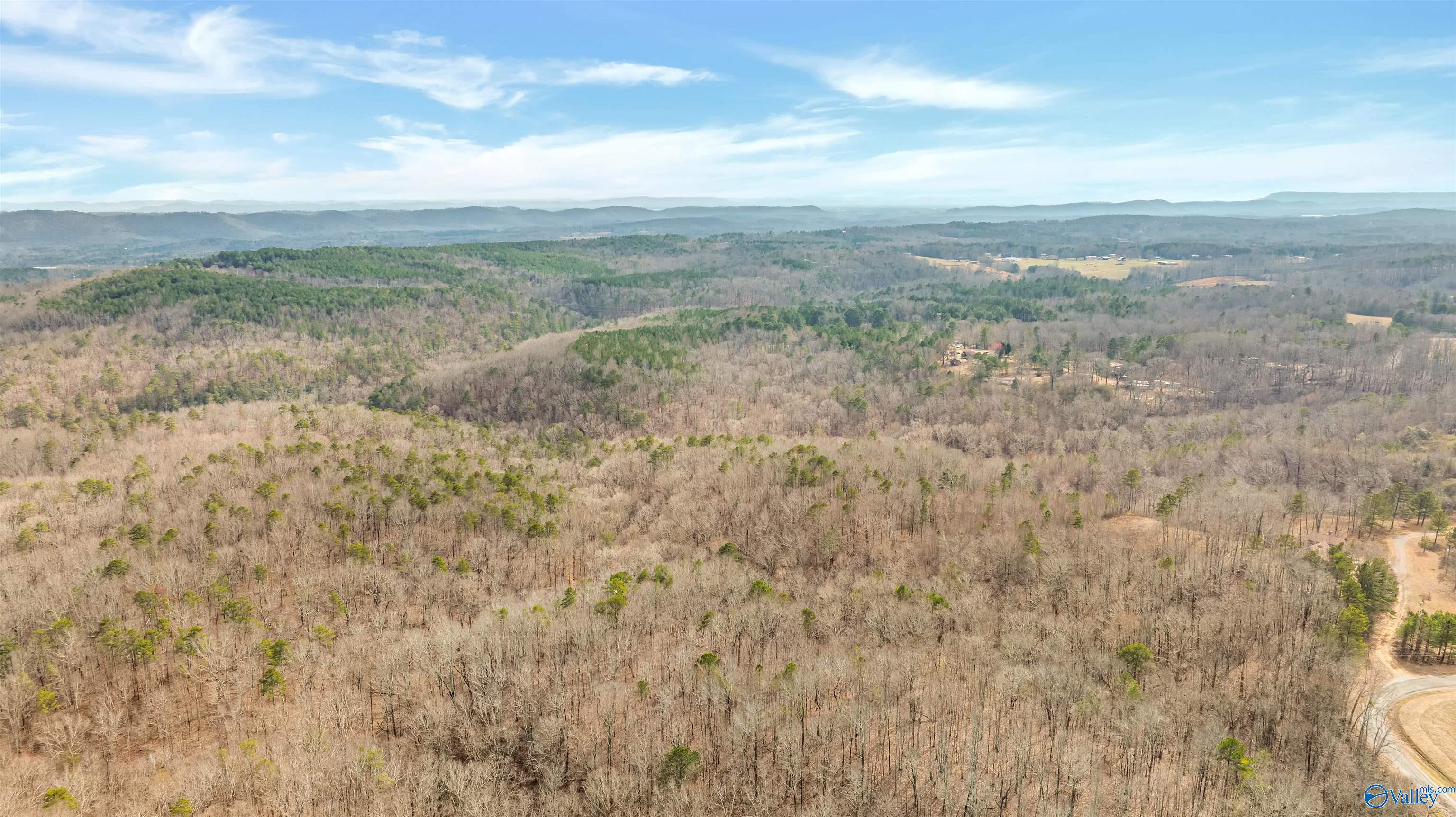254 Acres Mountain View Drive, Attalla, Alabama image 2
