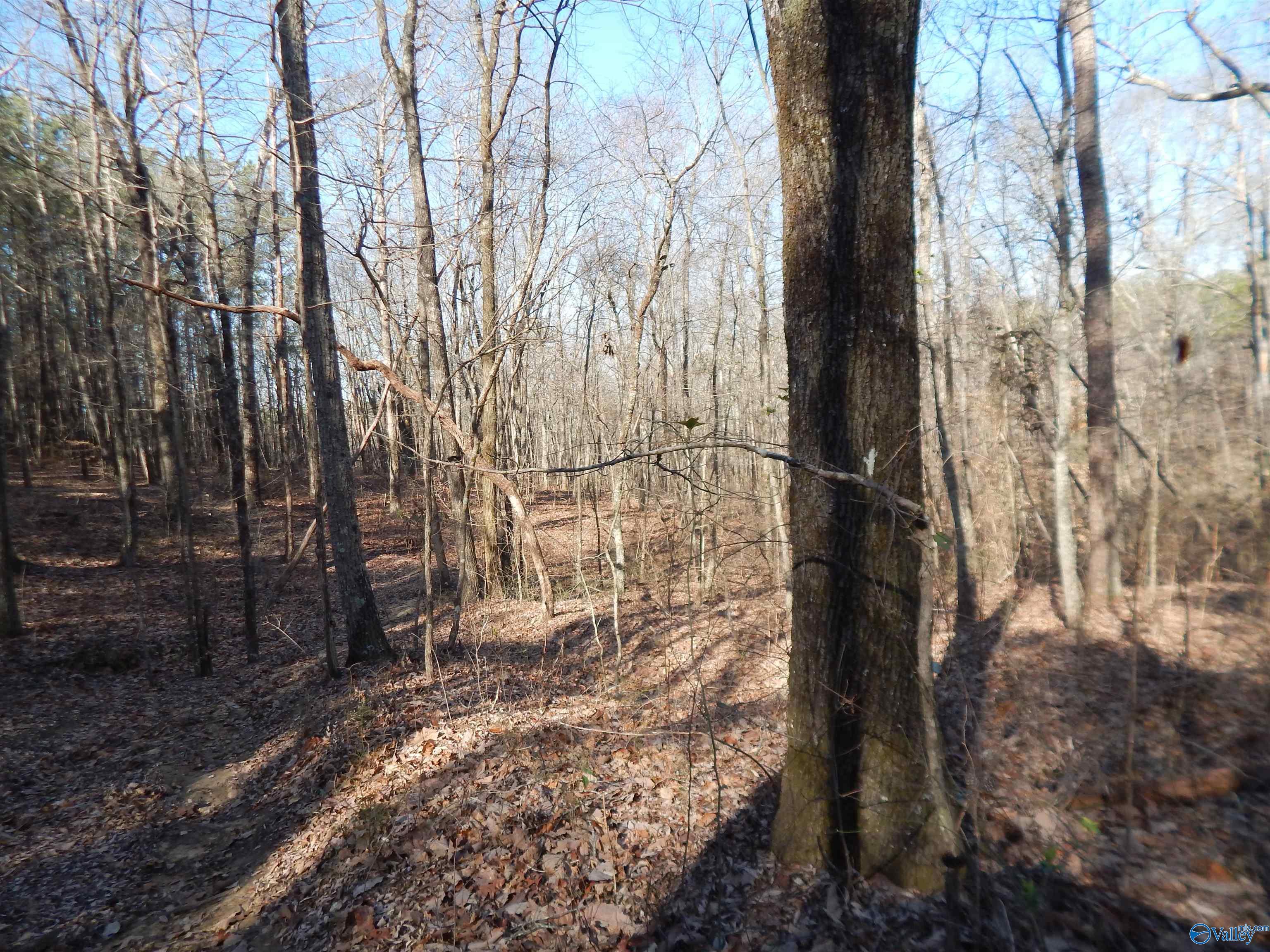 254 Acres Mountain View Drive, Attalla, Alabama image 32