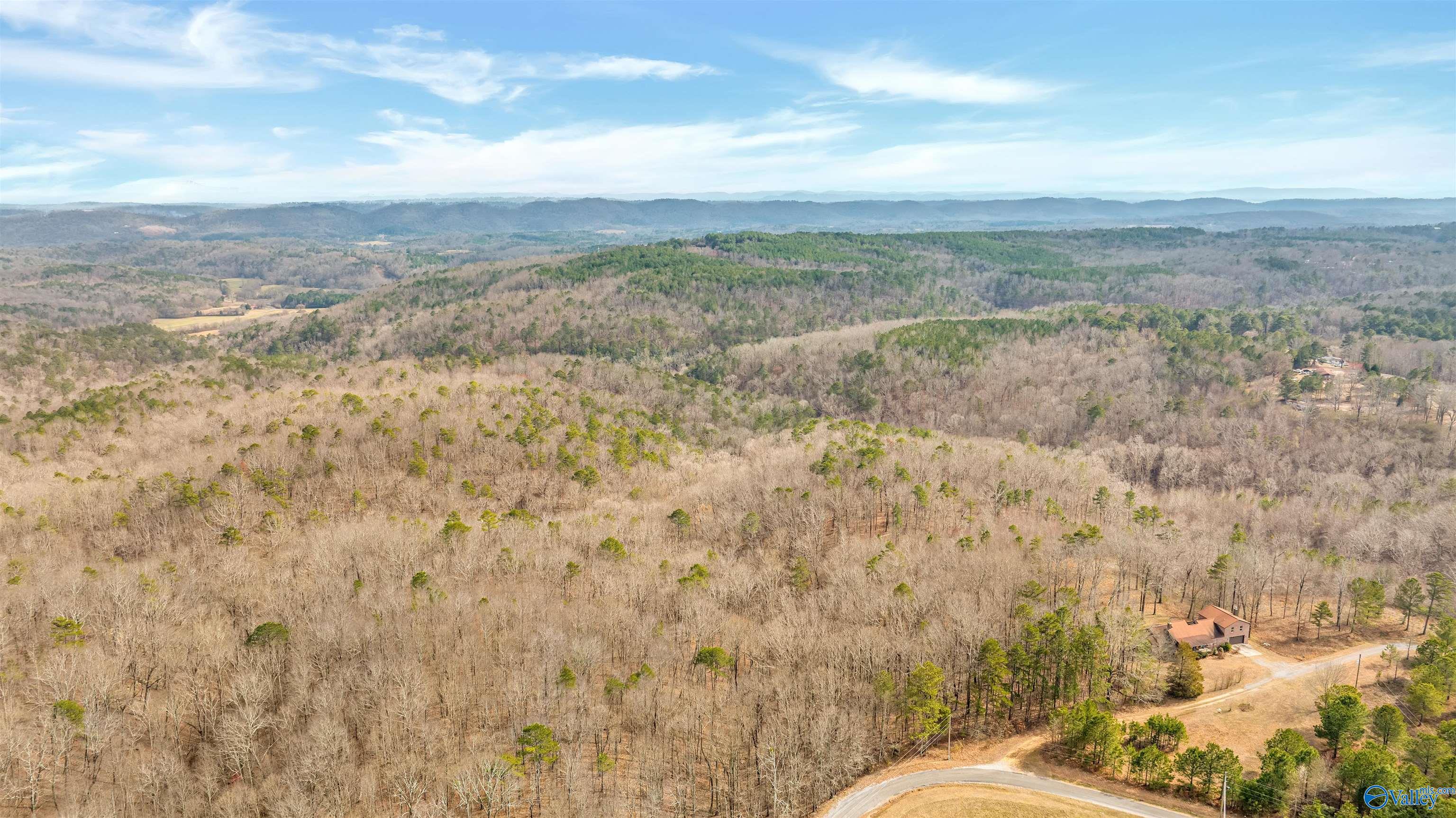 254 Acres Mountain View Drive, Attalla, Alabama image 4
