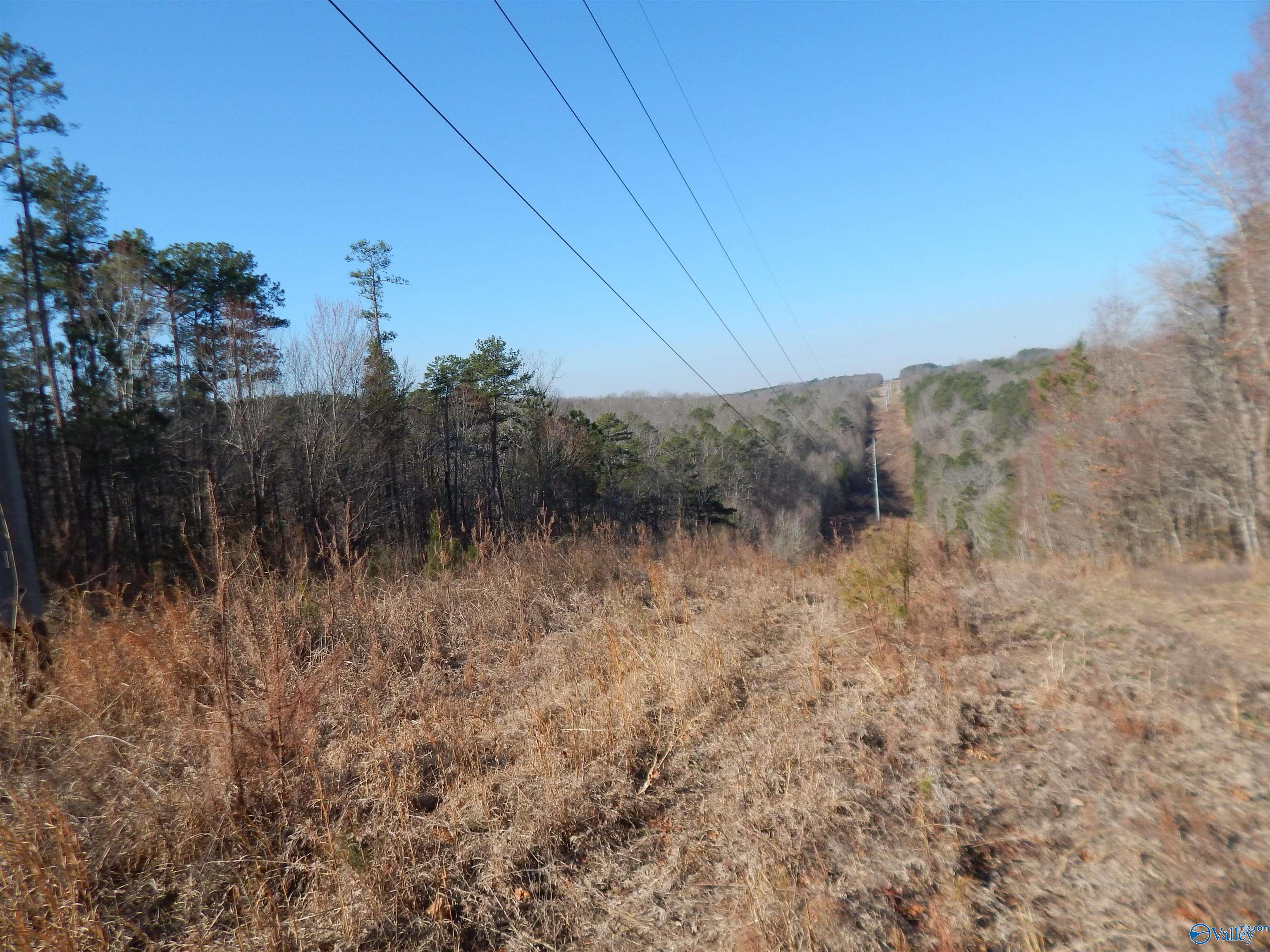 254 Acres Mountain View Drive, Attalla, Alabama image 27