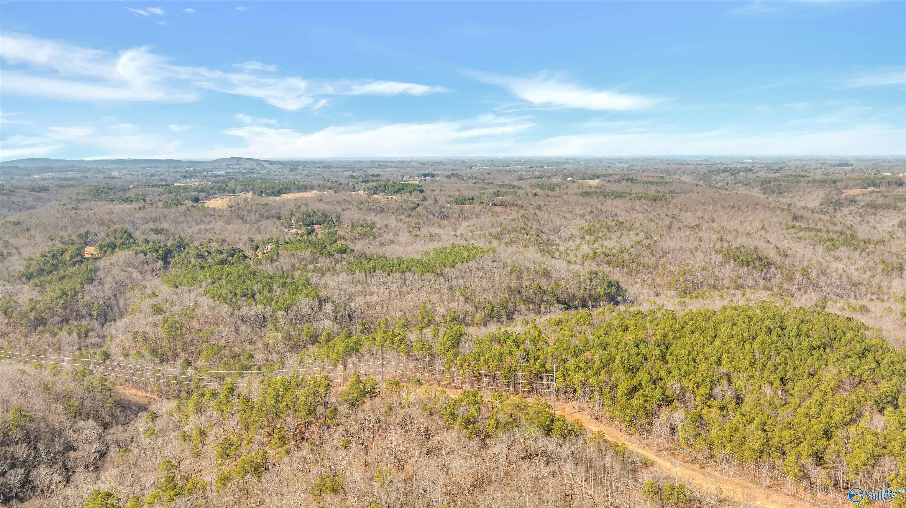 254 Acres Mountain View Drive, Attalla, Alabama image 13