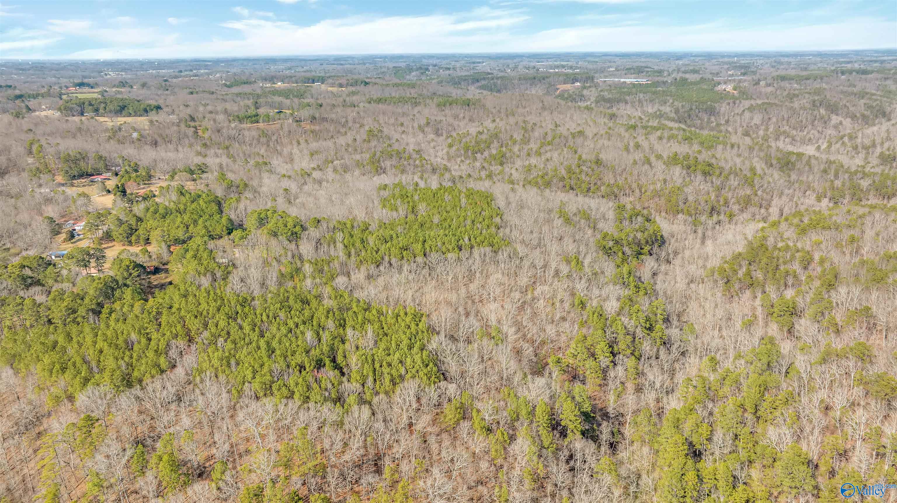 254 Acres Mountain View Drive, Attalla, Alabama image 9