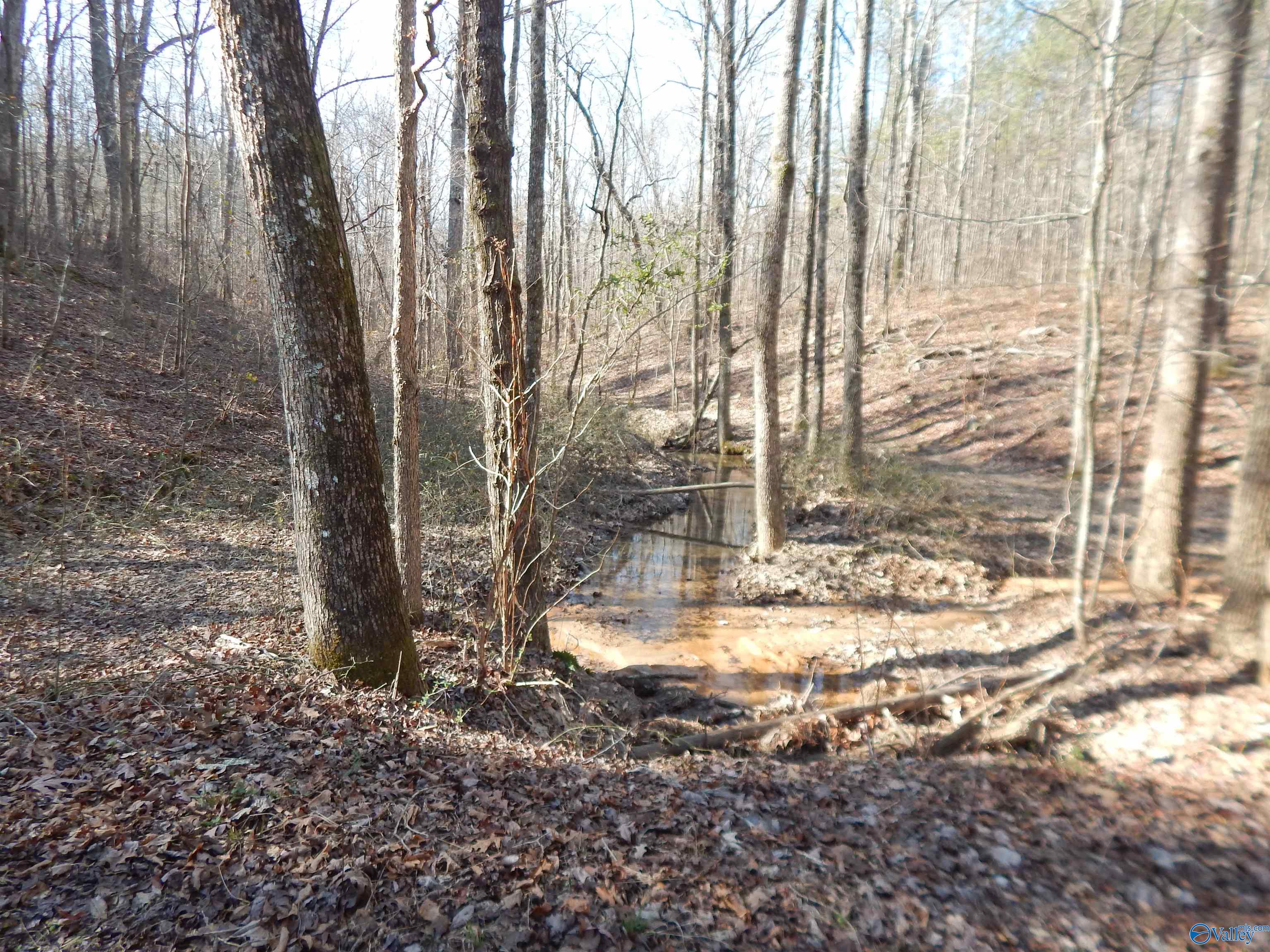254 Acres Mountain View Drive, Attalla, Alabama image 44