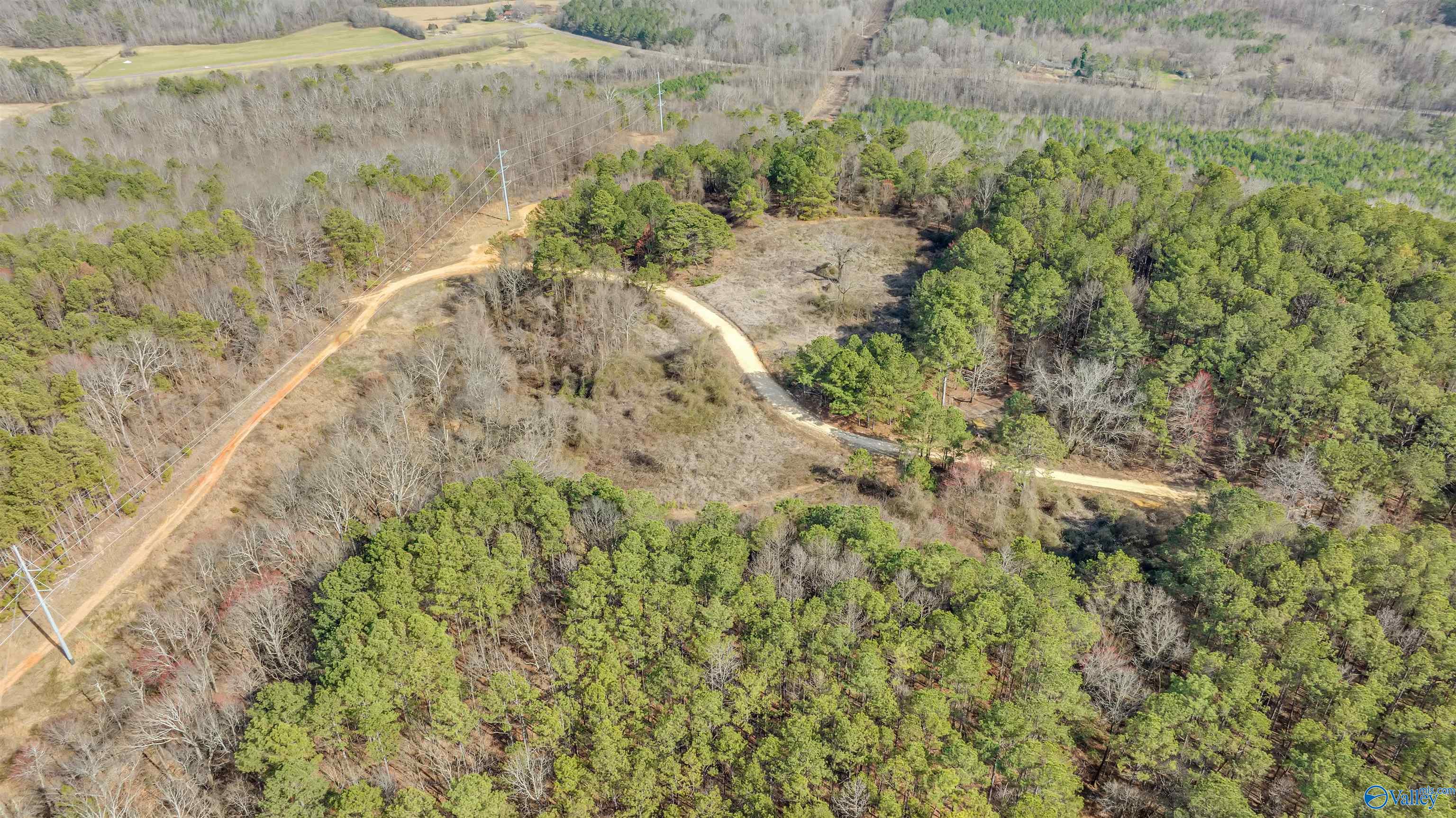 254 Acres Mountain View Drive, Attalla, Alabama image 10