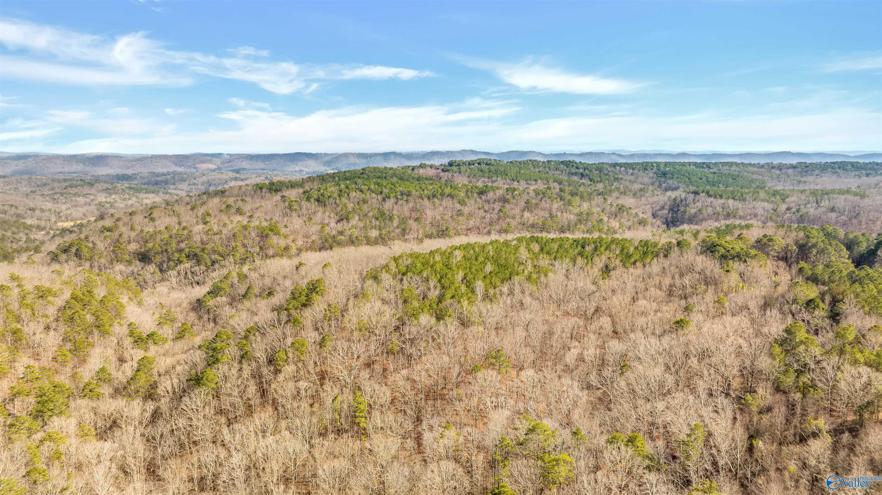 254 Acres Mountain View Drive, Attalla, Alabama image 16