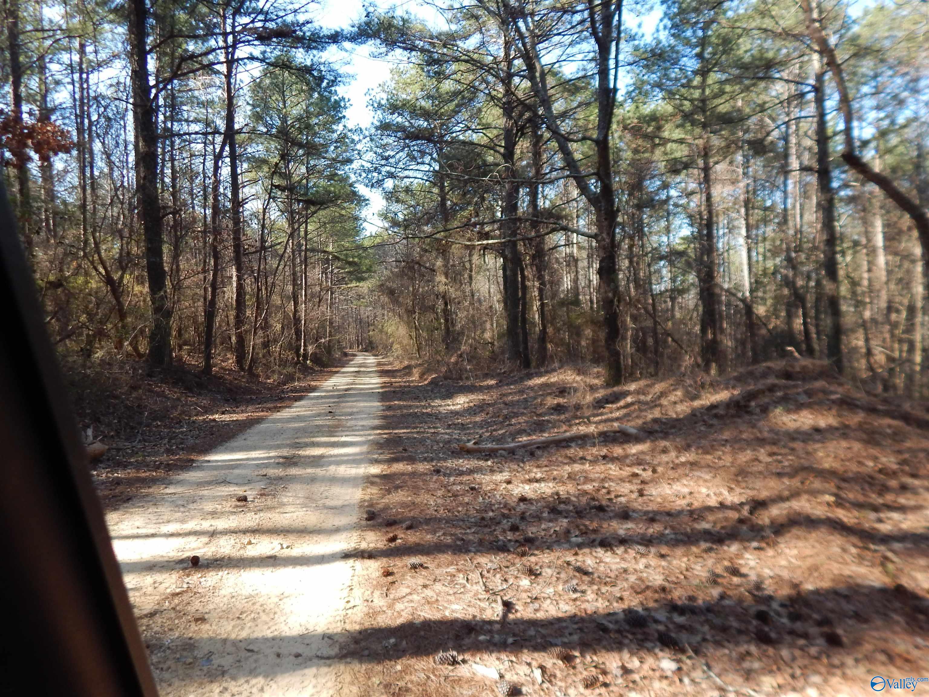 254 Acres Mountain View Drive, Attalla, Alabama image 37