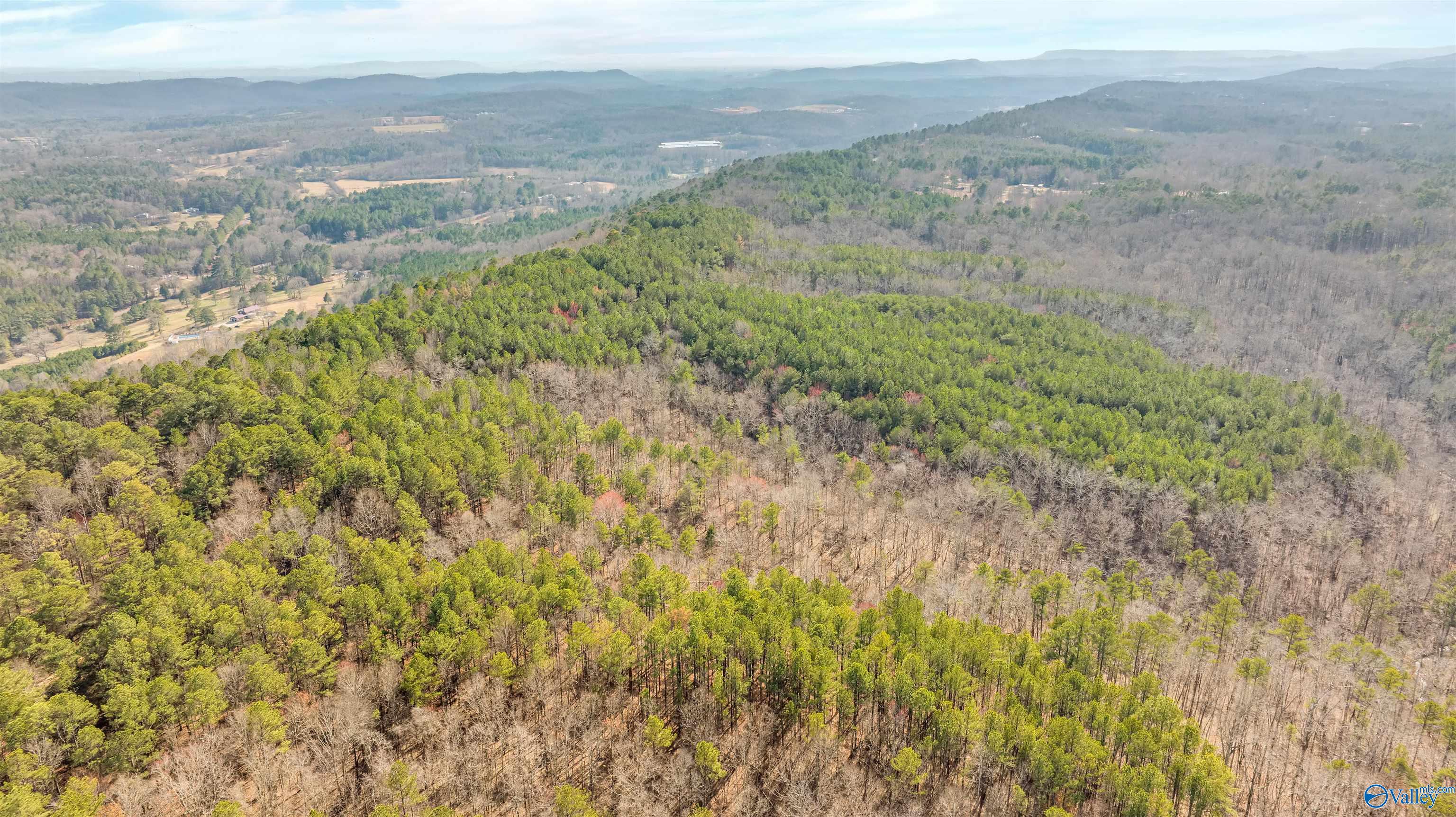 254 Acres Mountain View Drive, Attalla, Alabama image 11