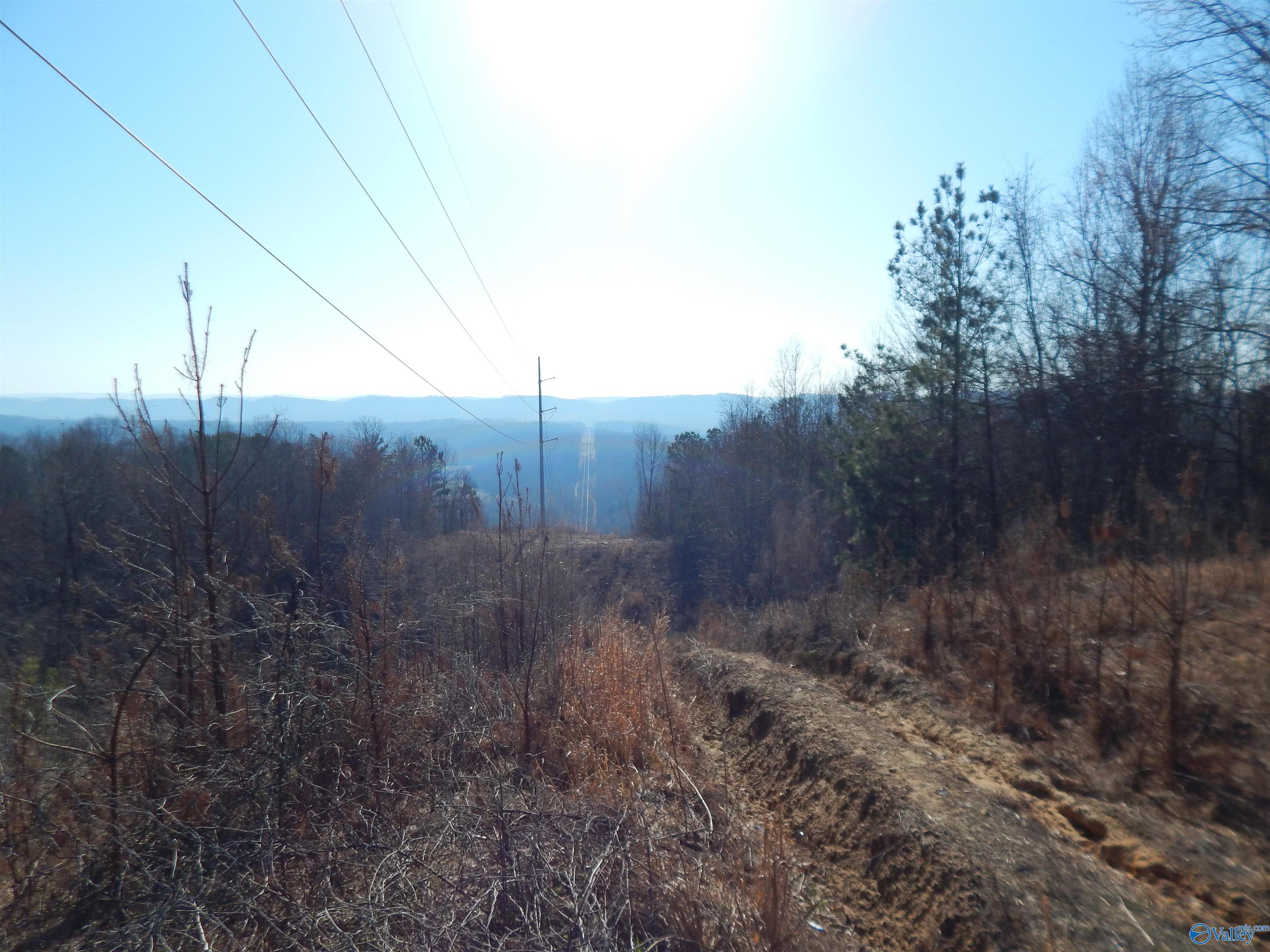 254 Acres Mountain View Drive, Attalla, Alabama image 19