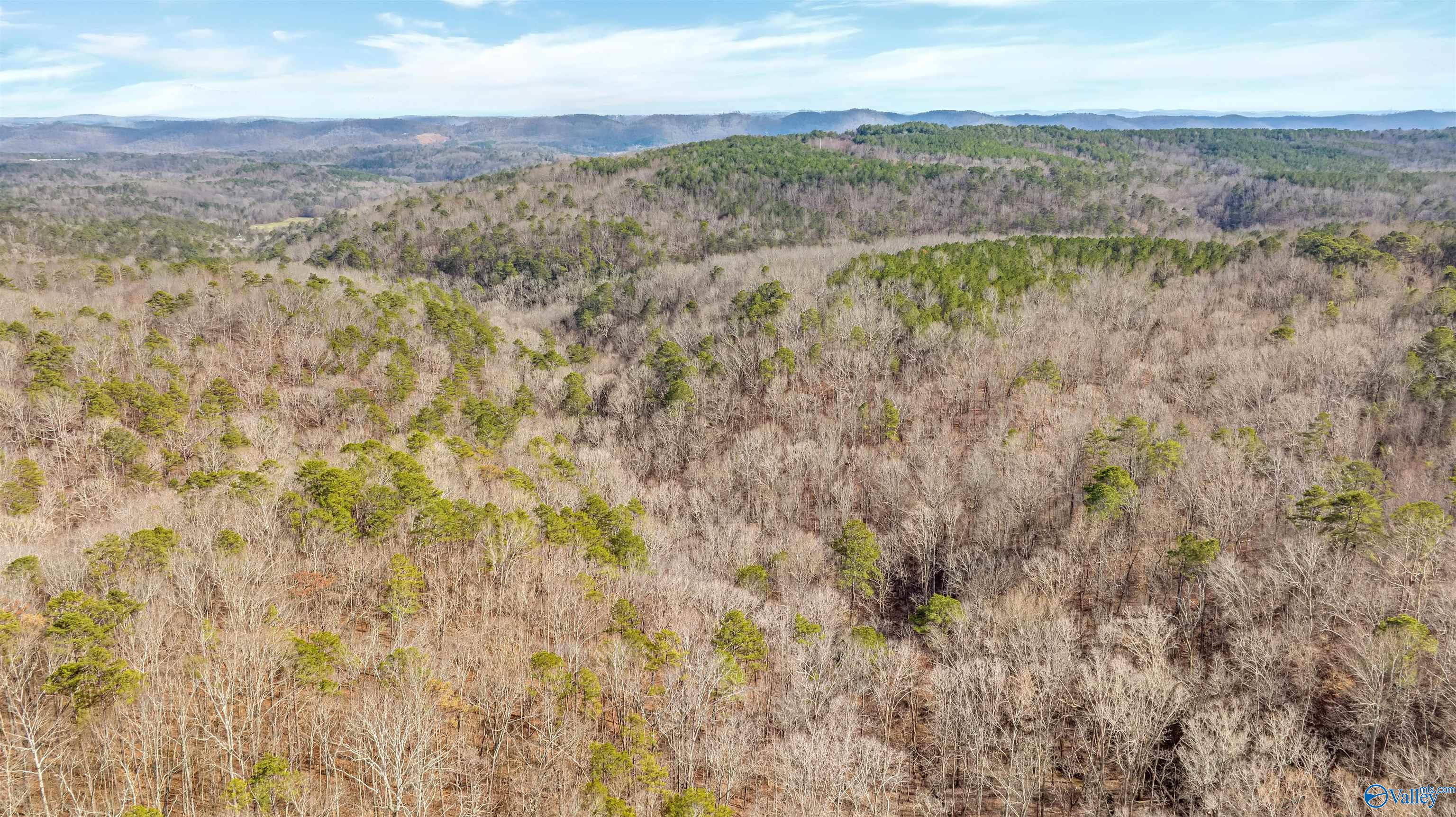 254 Acres Mountain View Drive, Attalla, Alabama image 15