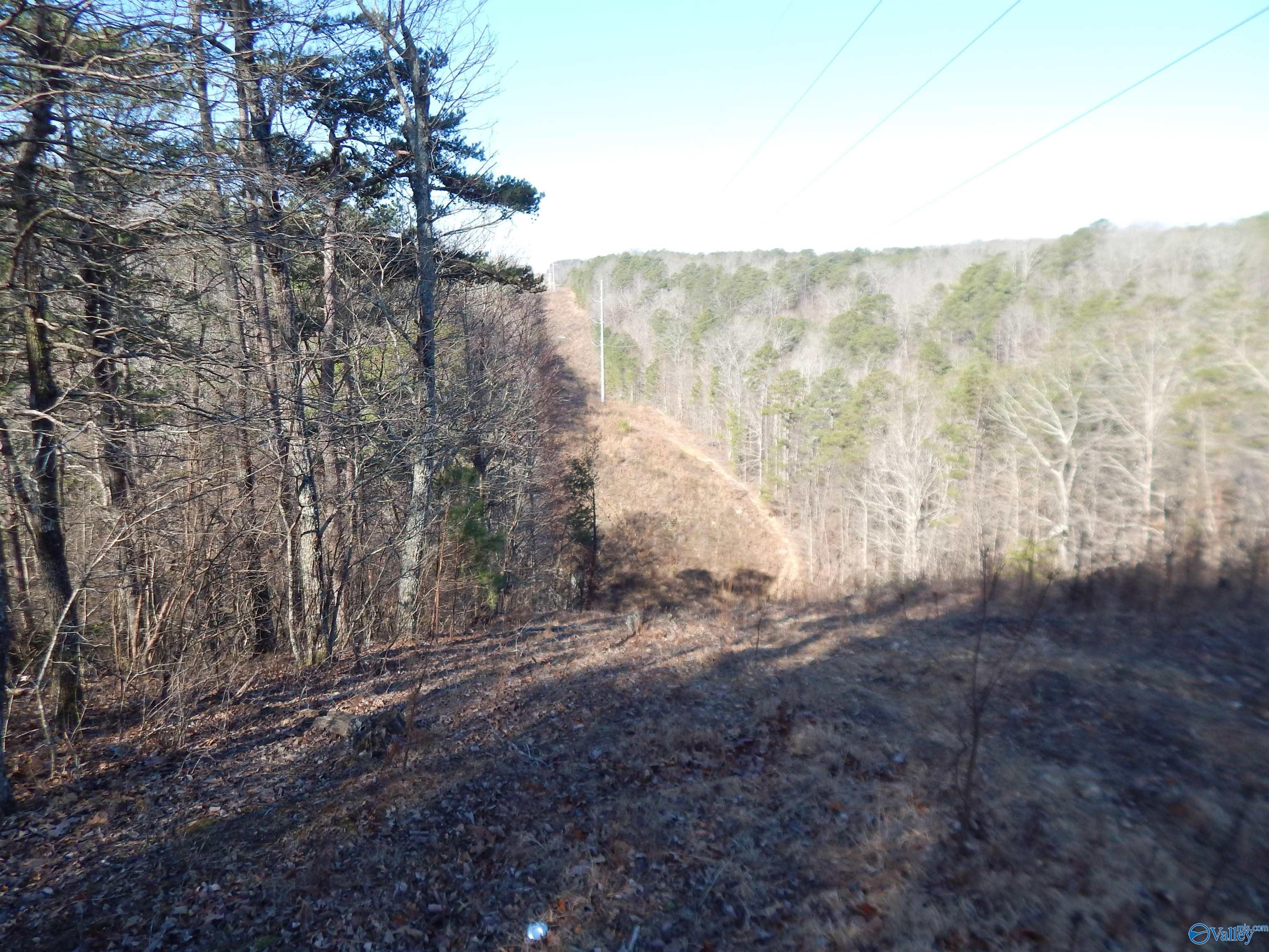 254 Acres Mountain View Drive, Attalla, Alabama image 28