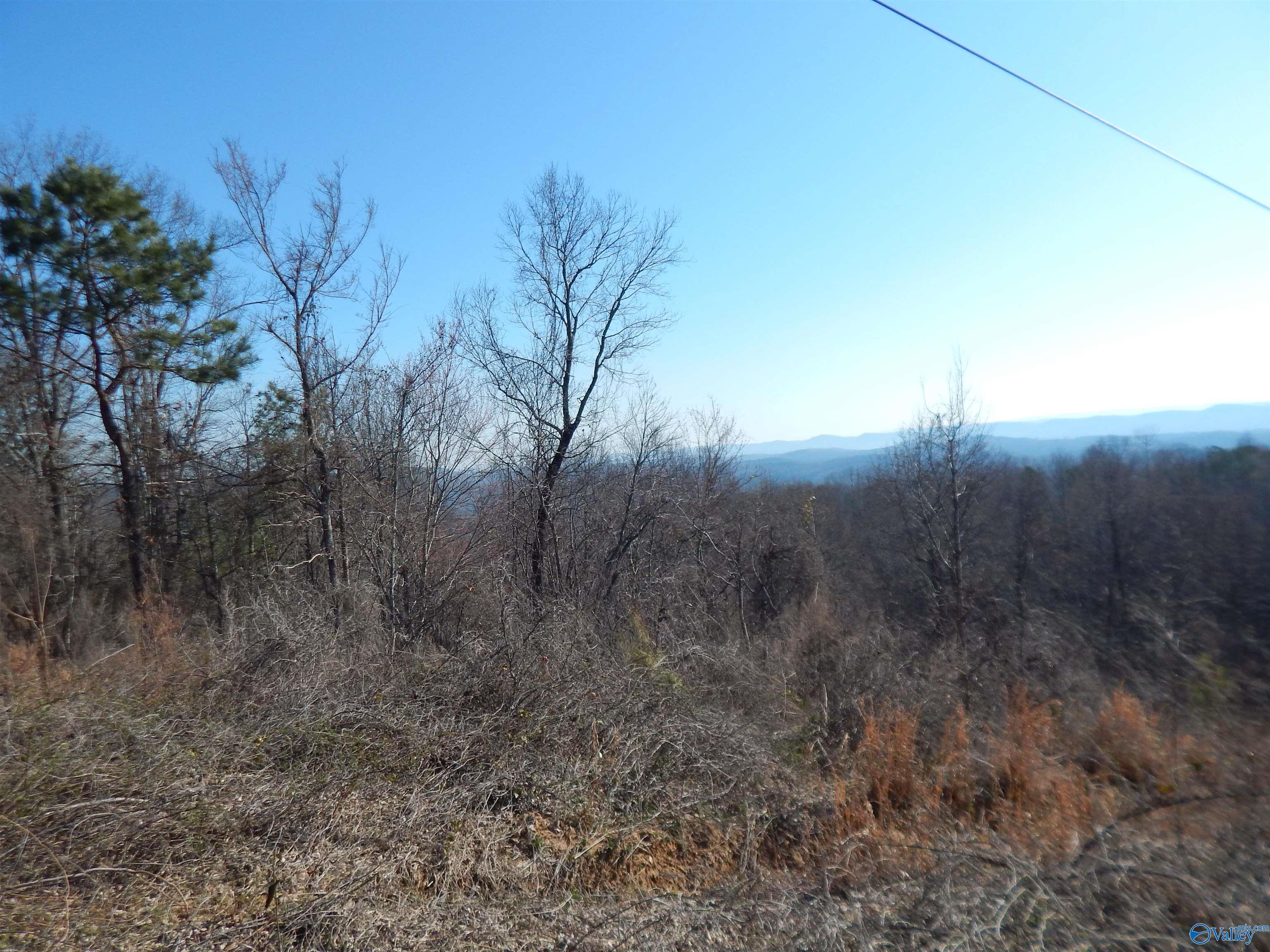 254 Acres Mountain View Drive, Attalla, Alabama image 22