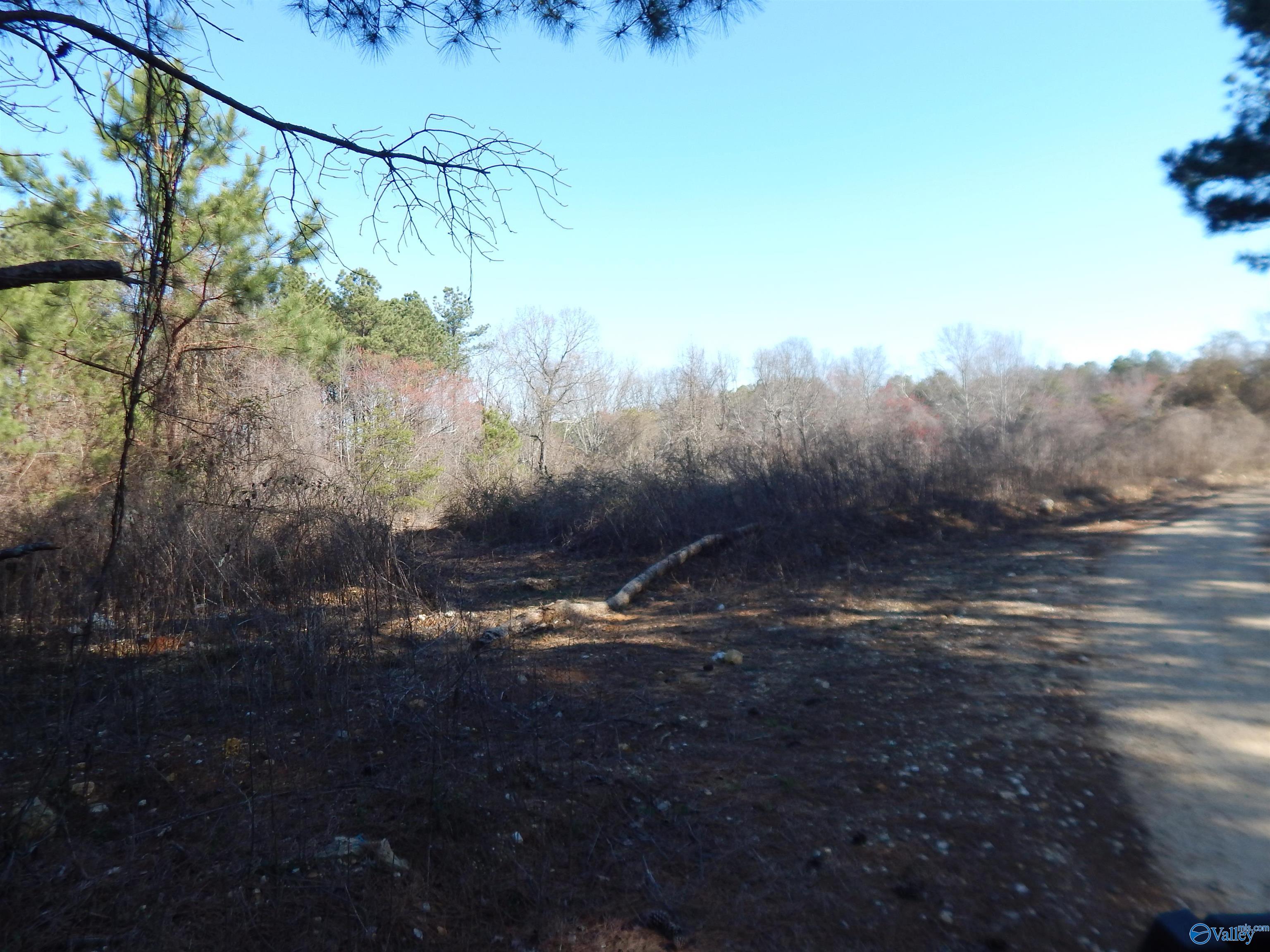 254 Acres Mountain View Drive, Attalla, Alabama image 36