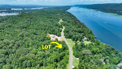 Vacant Land For Sale - 166 Lookout Mountain Drive<br/> Jackson County, Scottsboro, AL 35769