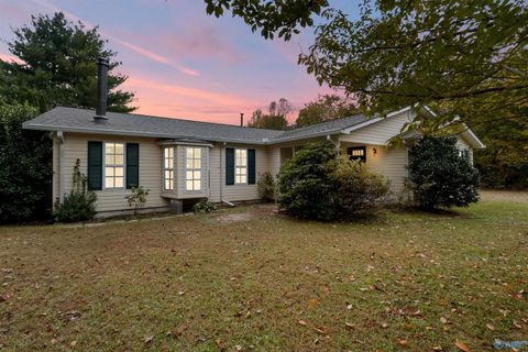 Photo of 7159 Willow Road, Ider, AL 35981 (MLS # 21902190)