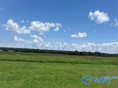 Vacant Land For Sale - 23.75 ACRES Alabama Highway 251<br/> Toney, AL 35773