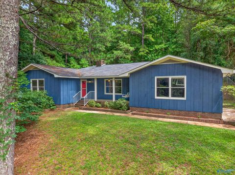 Homes For Sale - 813 Sunshine Street<br/> Blount County, Oneonta, AL 35121